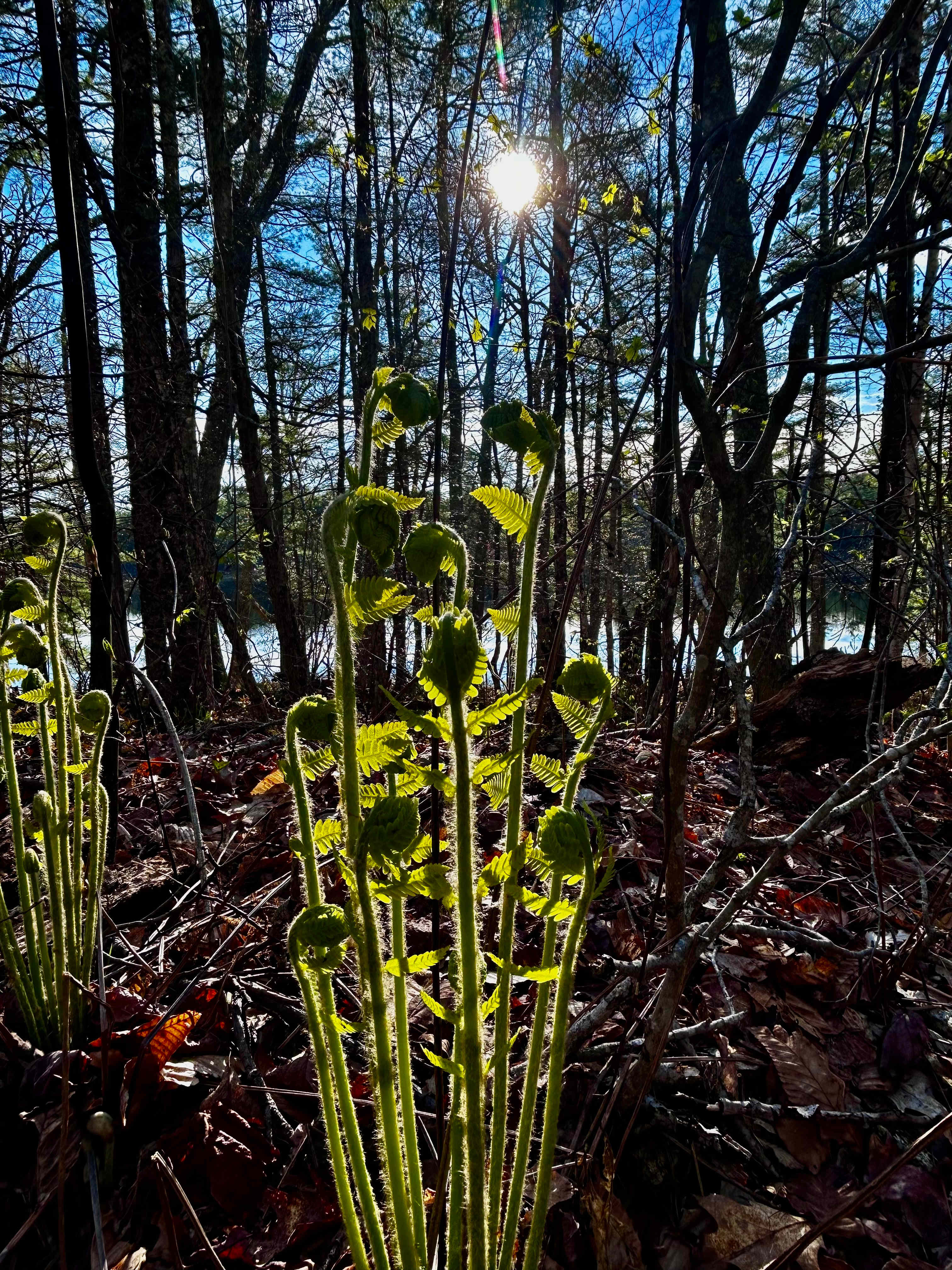 Hidden Valley Nature Center