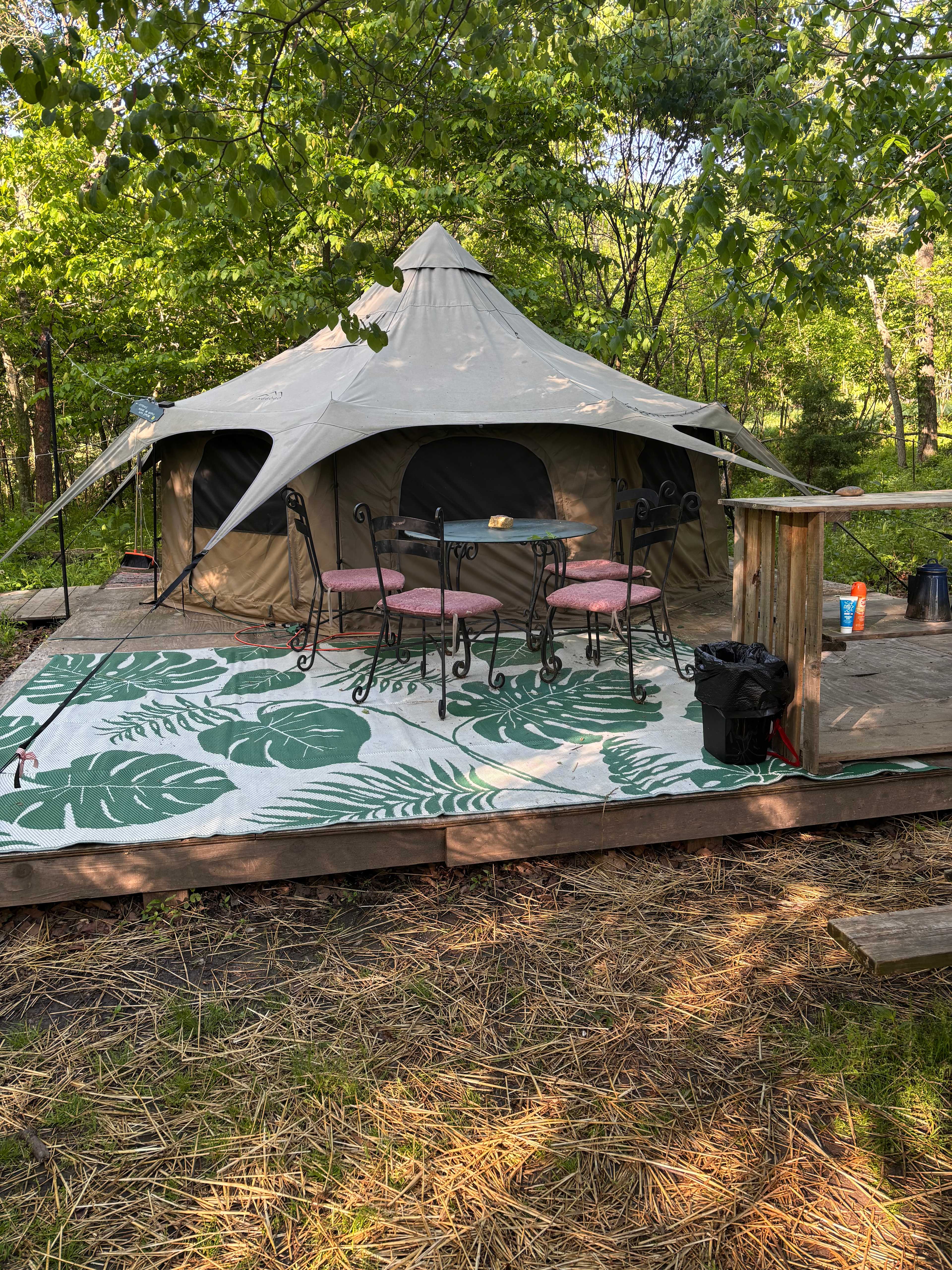 Hummingbird Hollow Outdoors