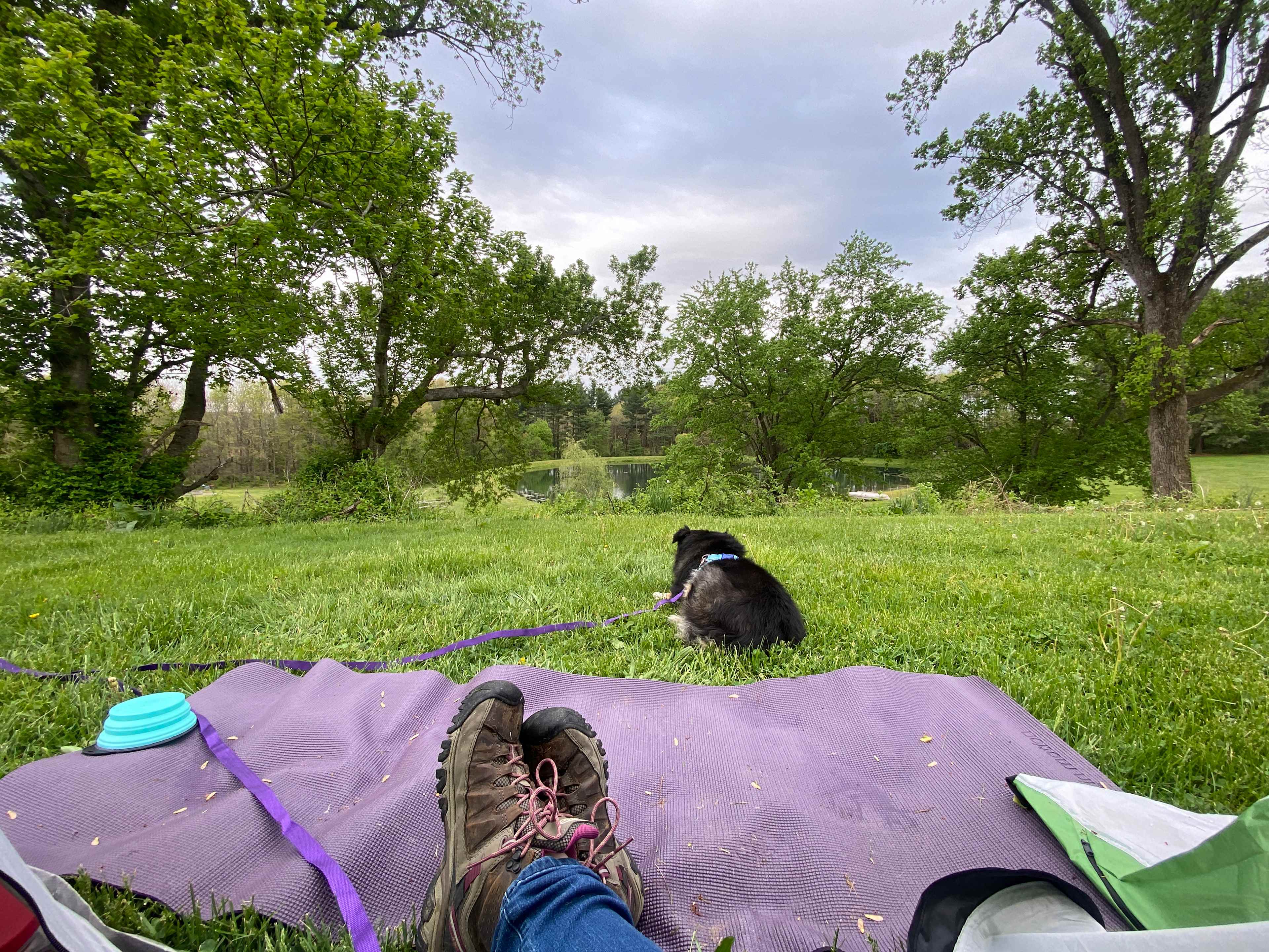 Fawn View Farm, Pond & Fields