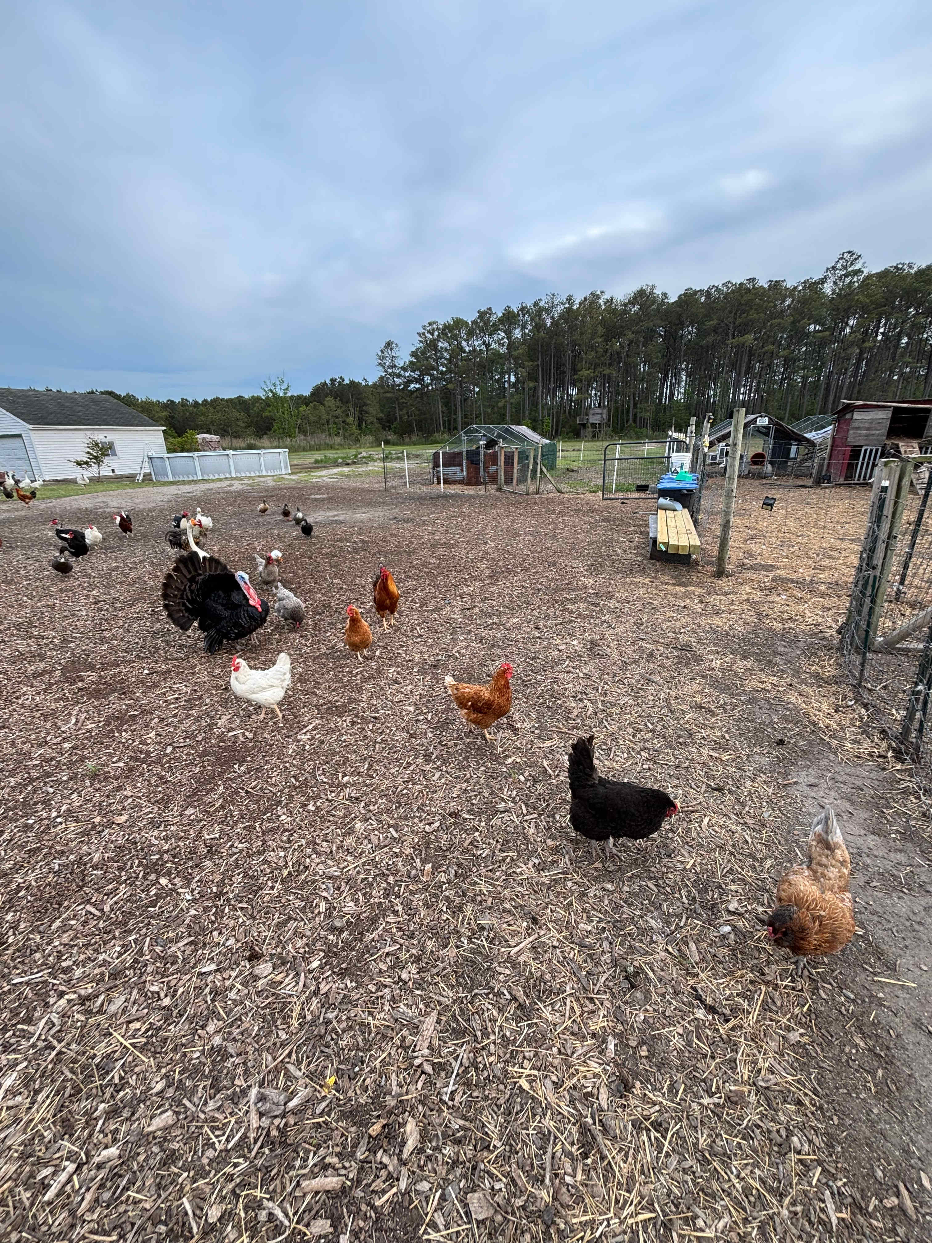 Blanchard Farm
