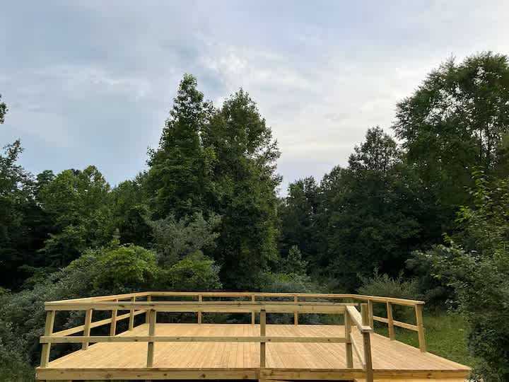 Picture of the site