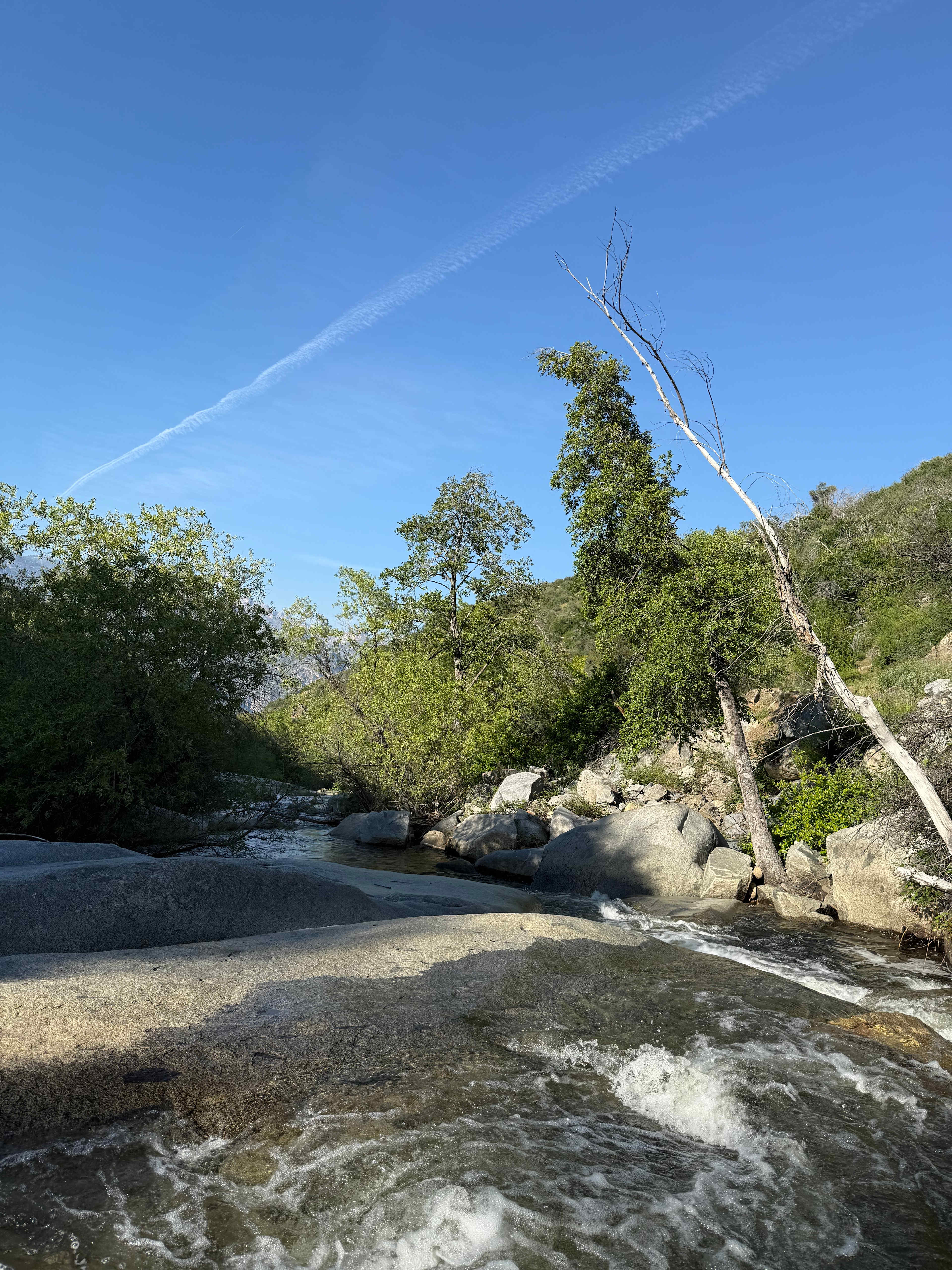 Kings Canyon Campground