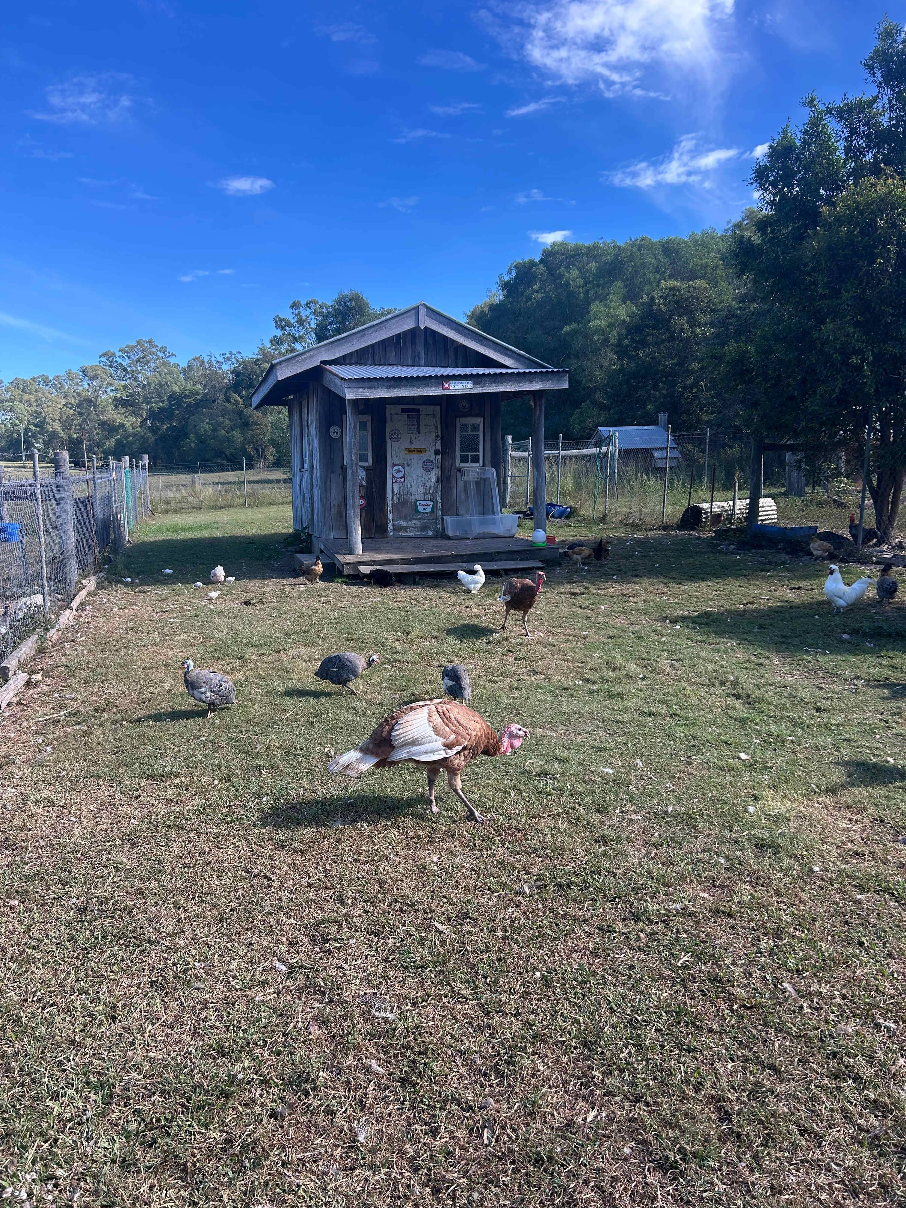 River Run Farm Camping