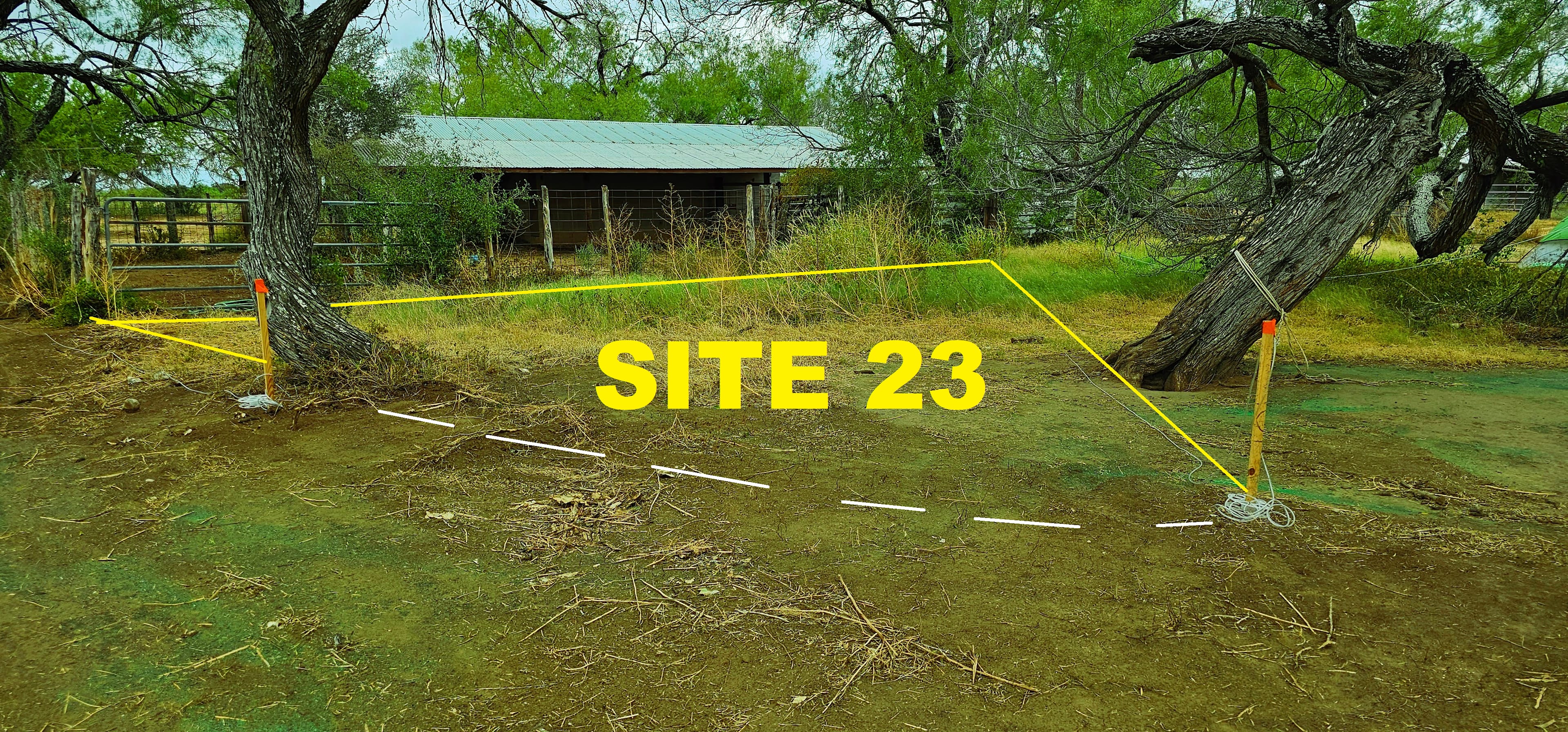 Picture of the site