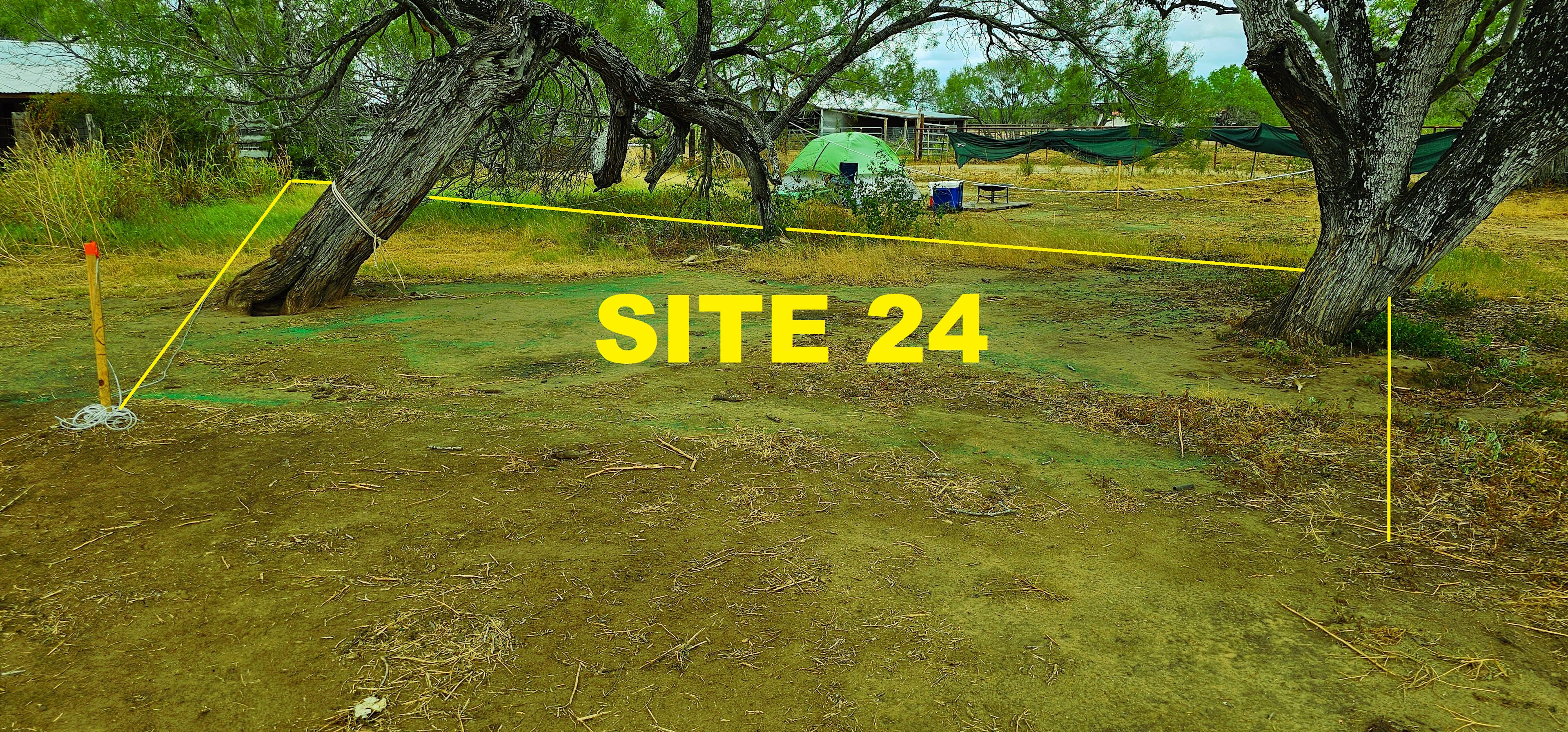 Picture of the site