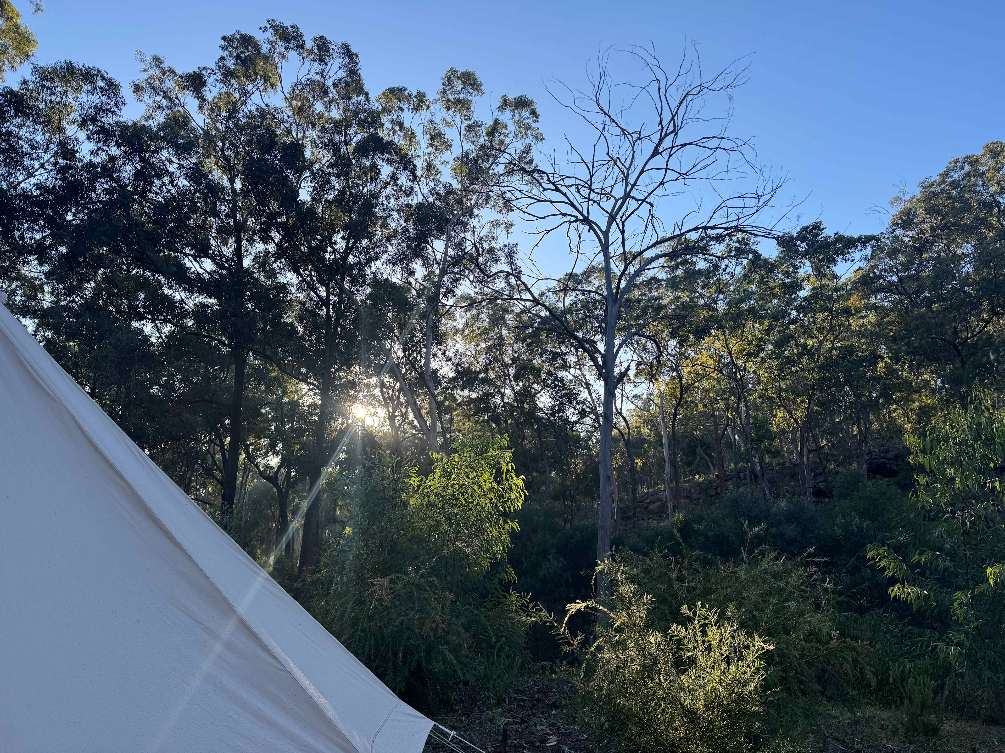 Jila Camp Grounds