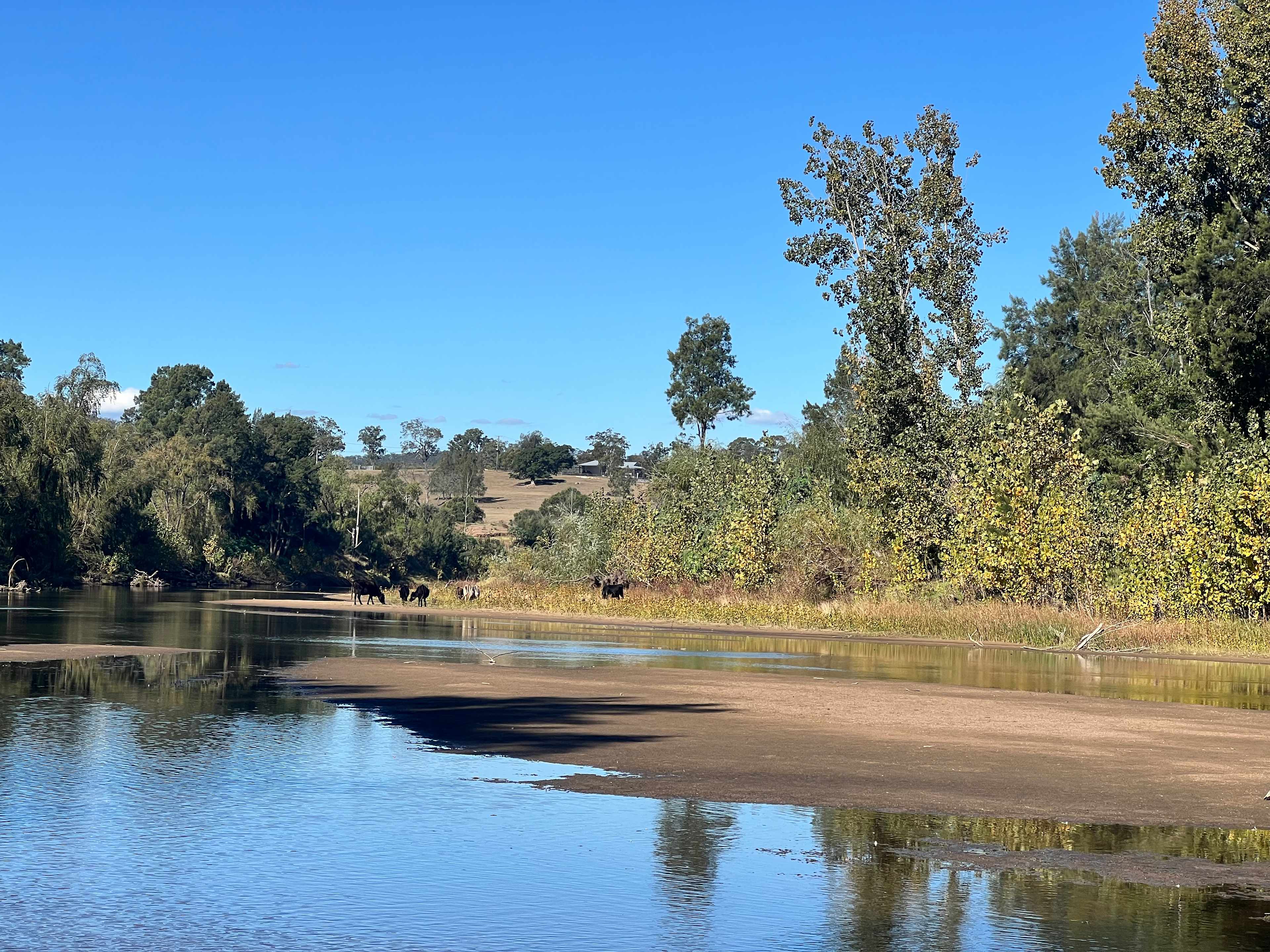 Hunter River at Rosebrook. 