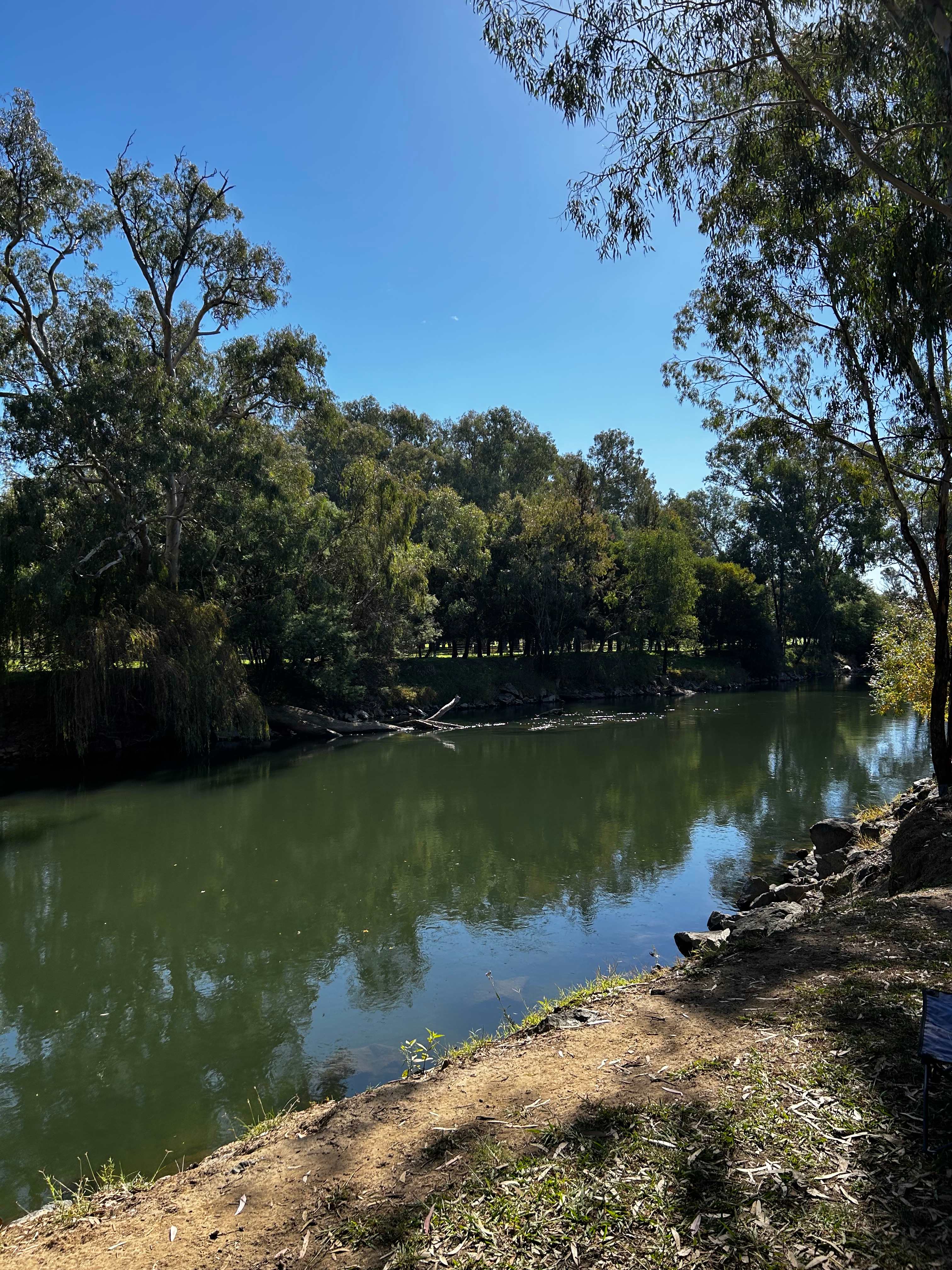 Bahwidgee on Tumut River