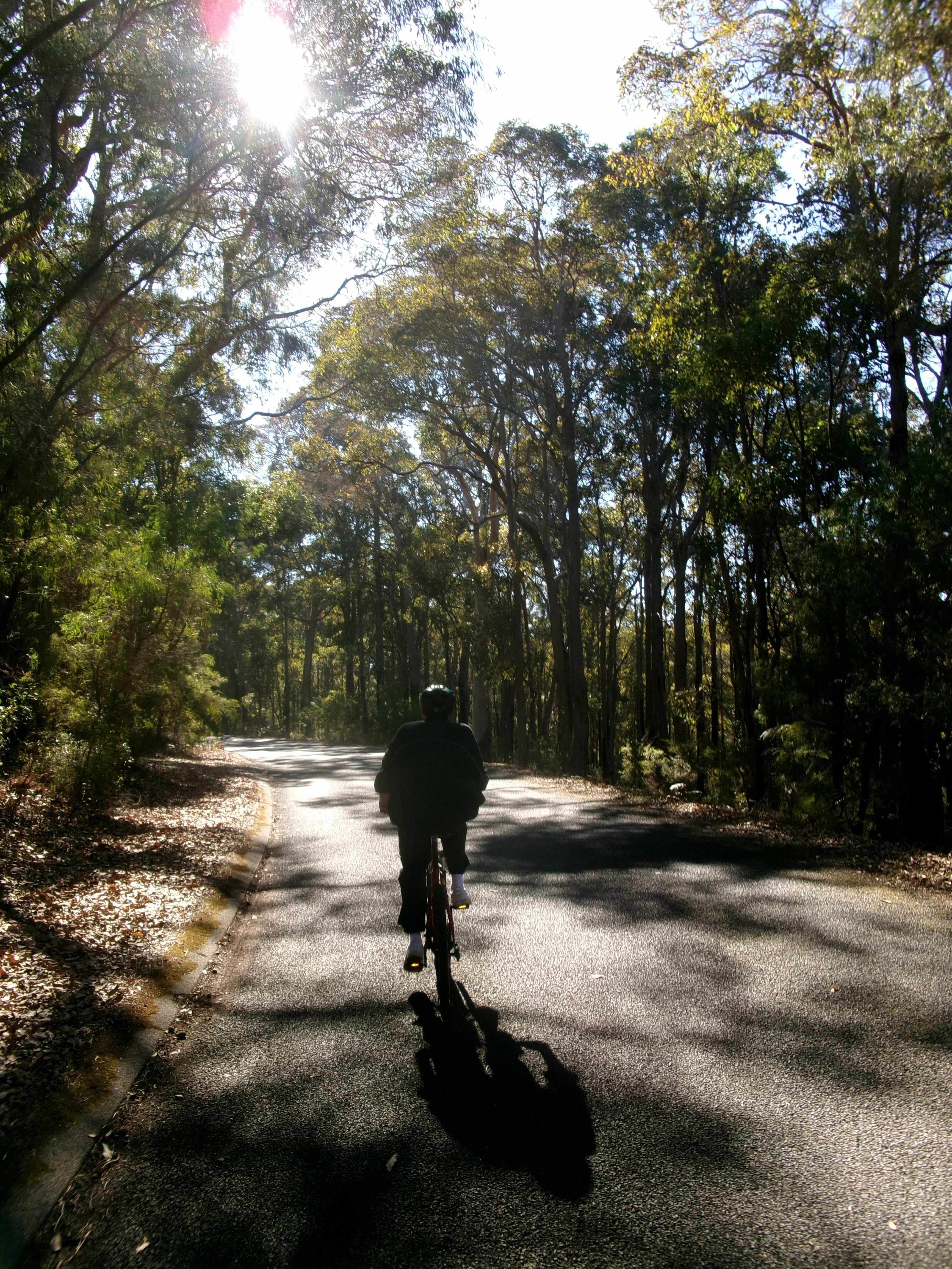 The road in 
