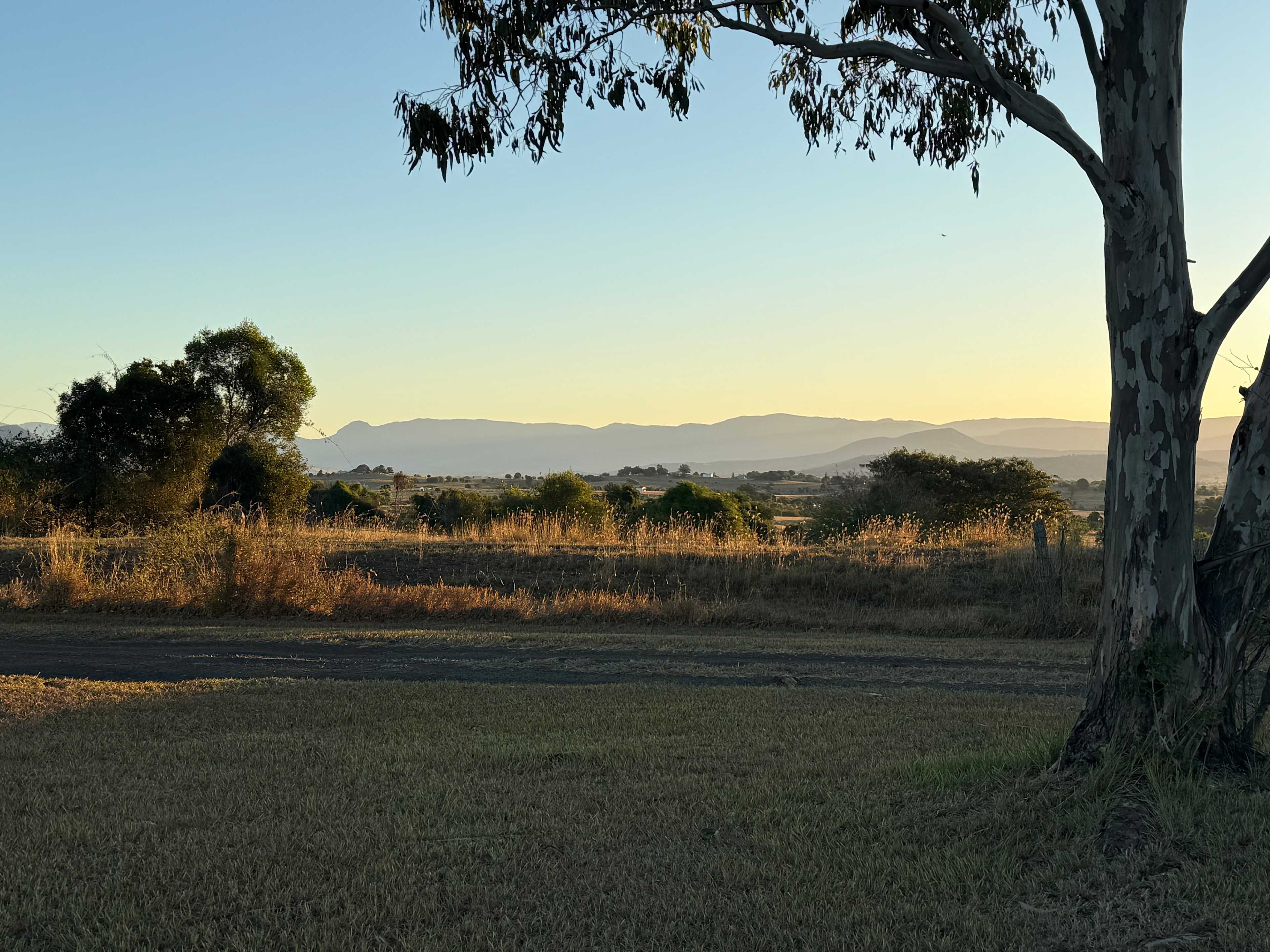 Olive View Estate - Stunning Views!