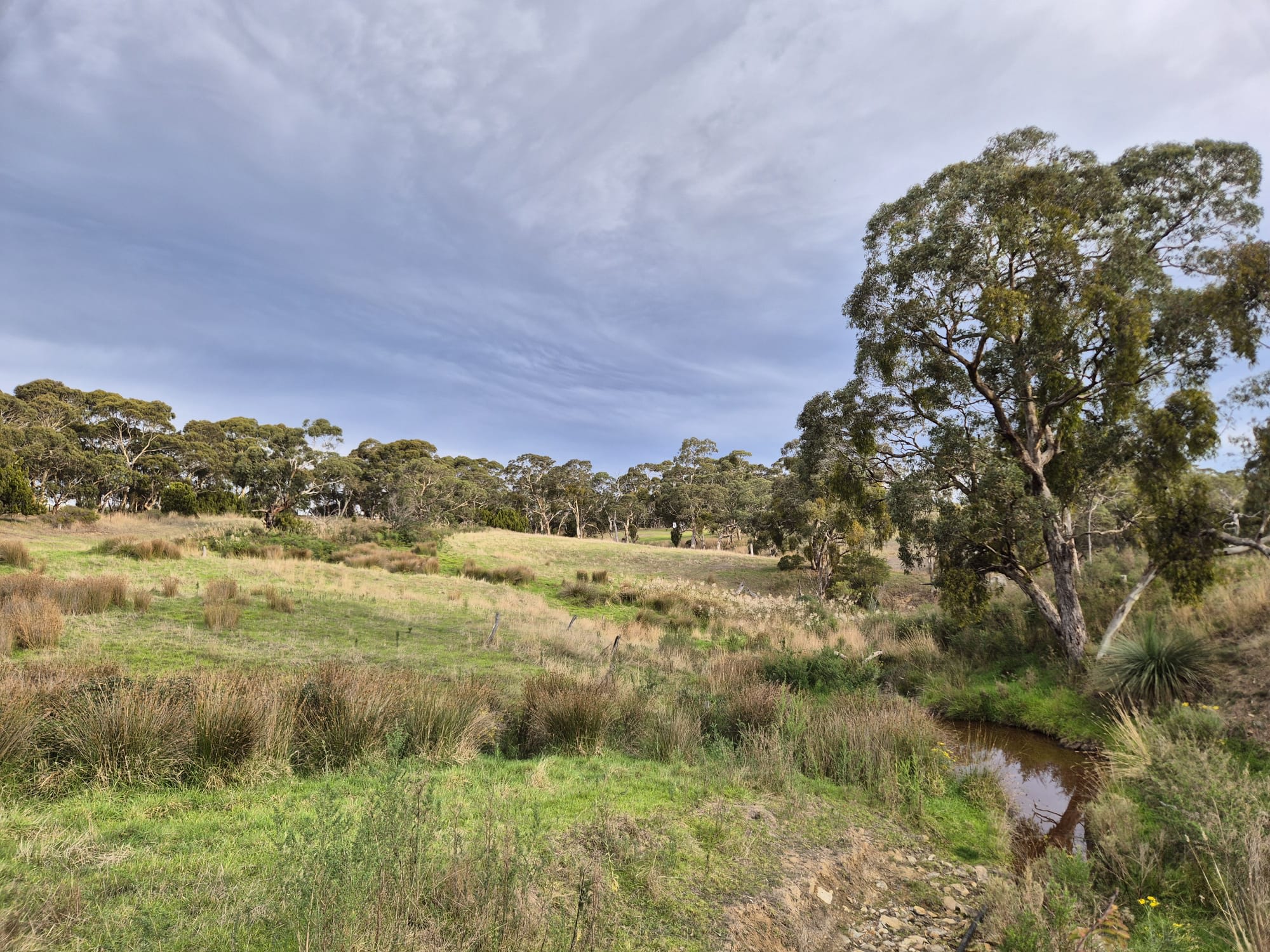Rocky Dale Farm