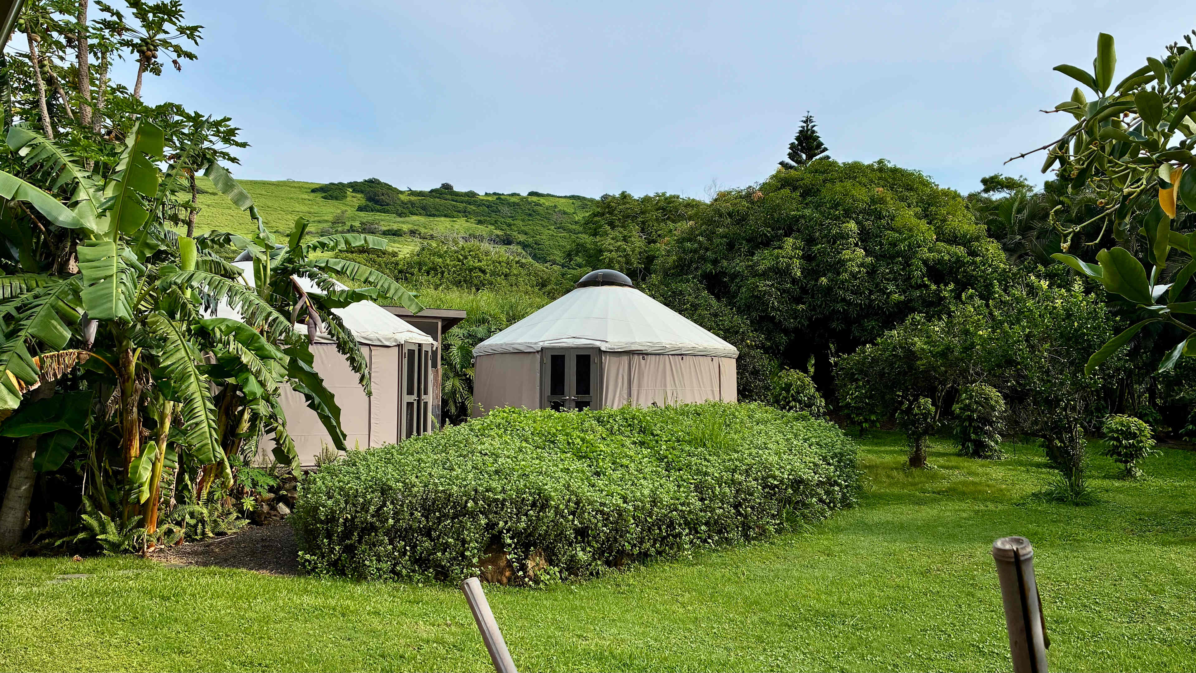 The yurt