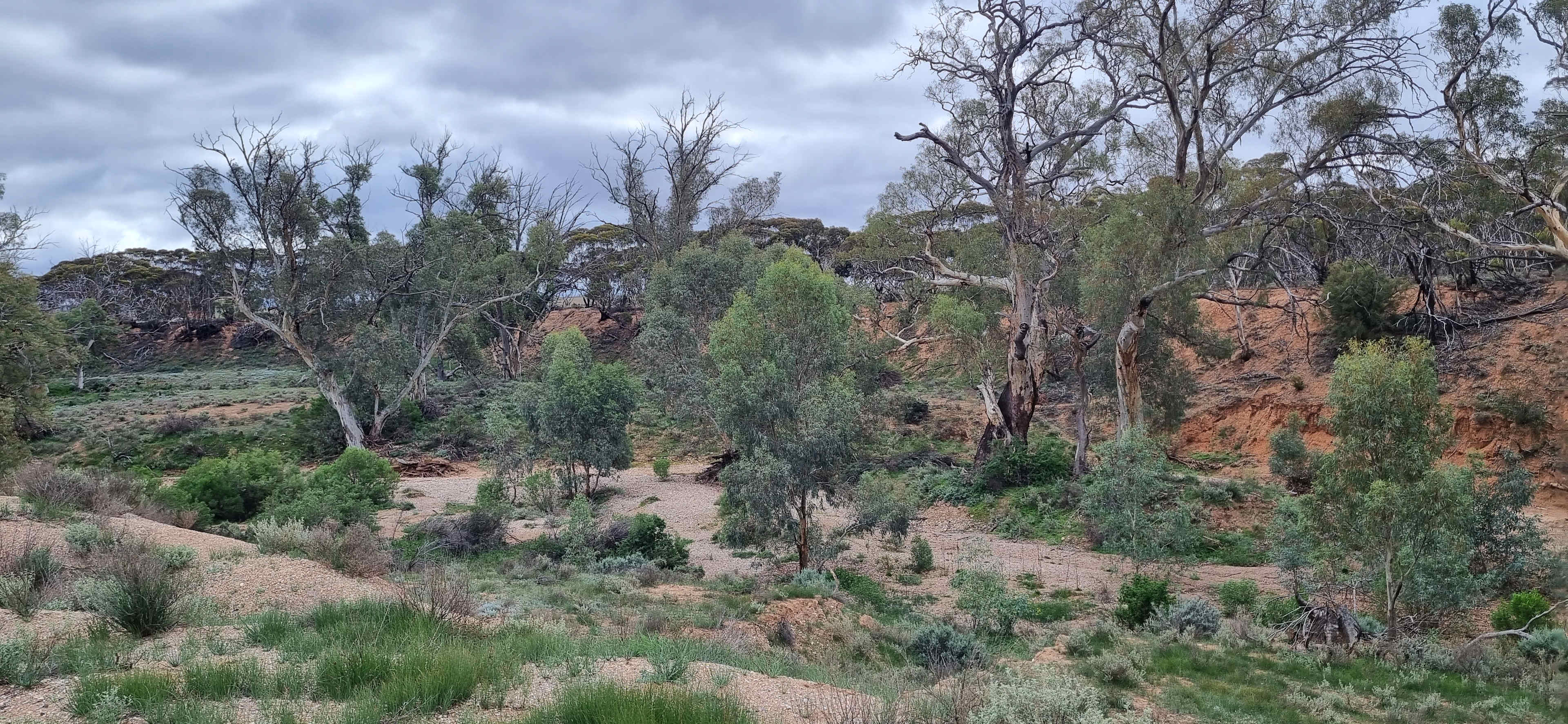 Burra Creek Camping