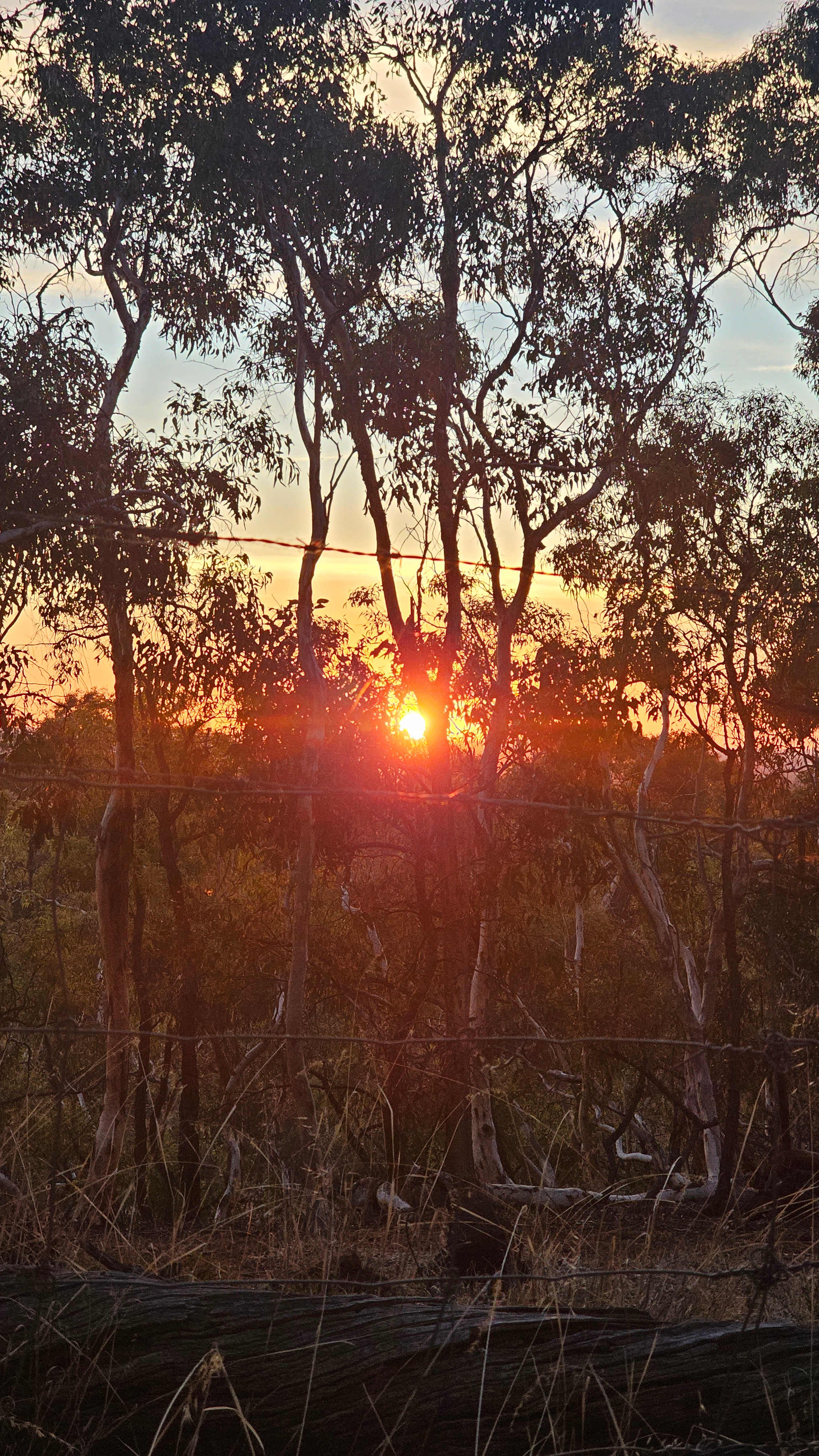 Yarrabah High Country- Jarrahdale