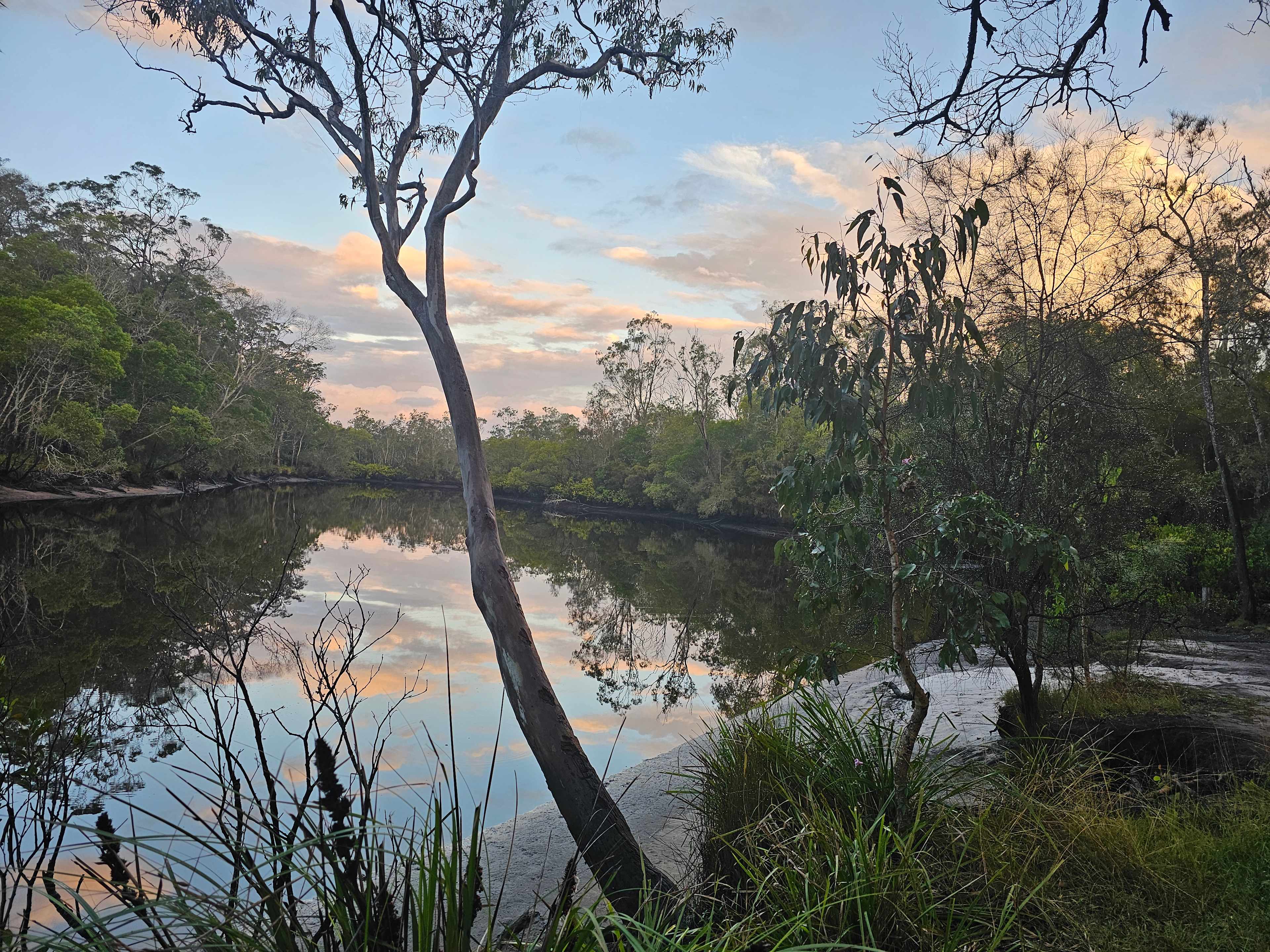 Creek in the setting sun