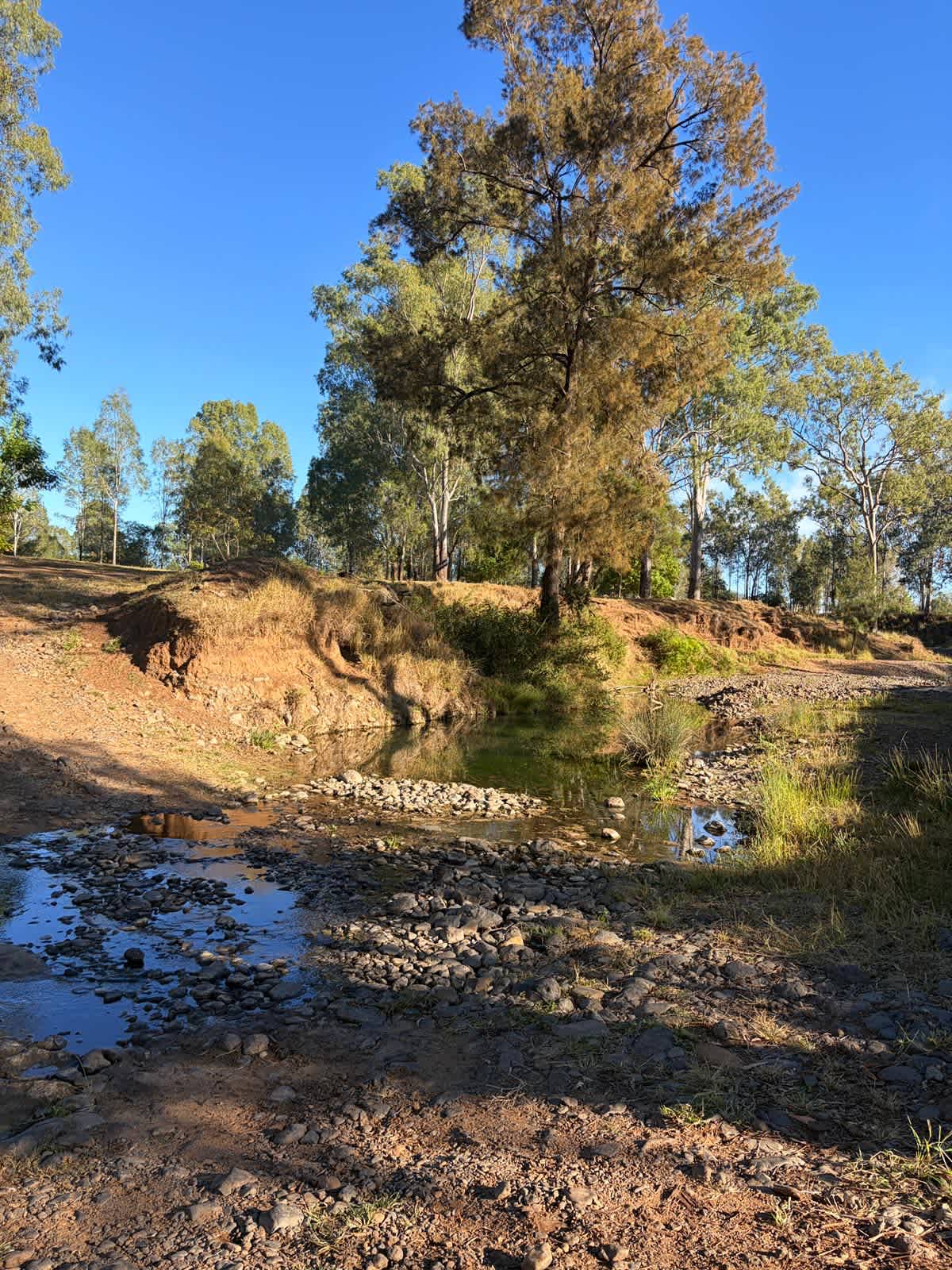 Rocky Creek Homestead