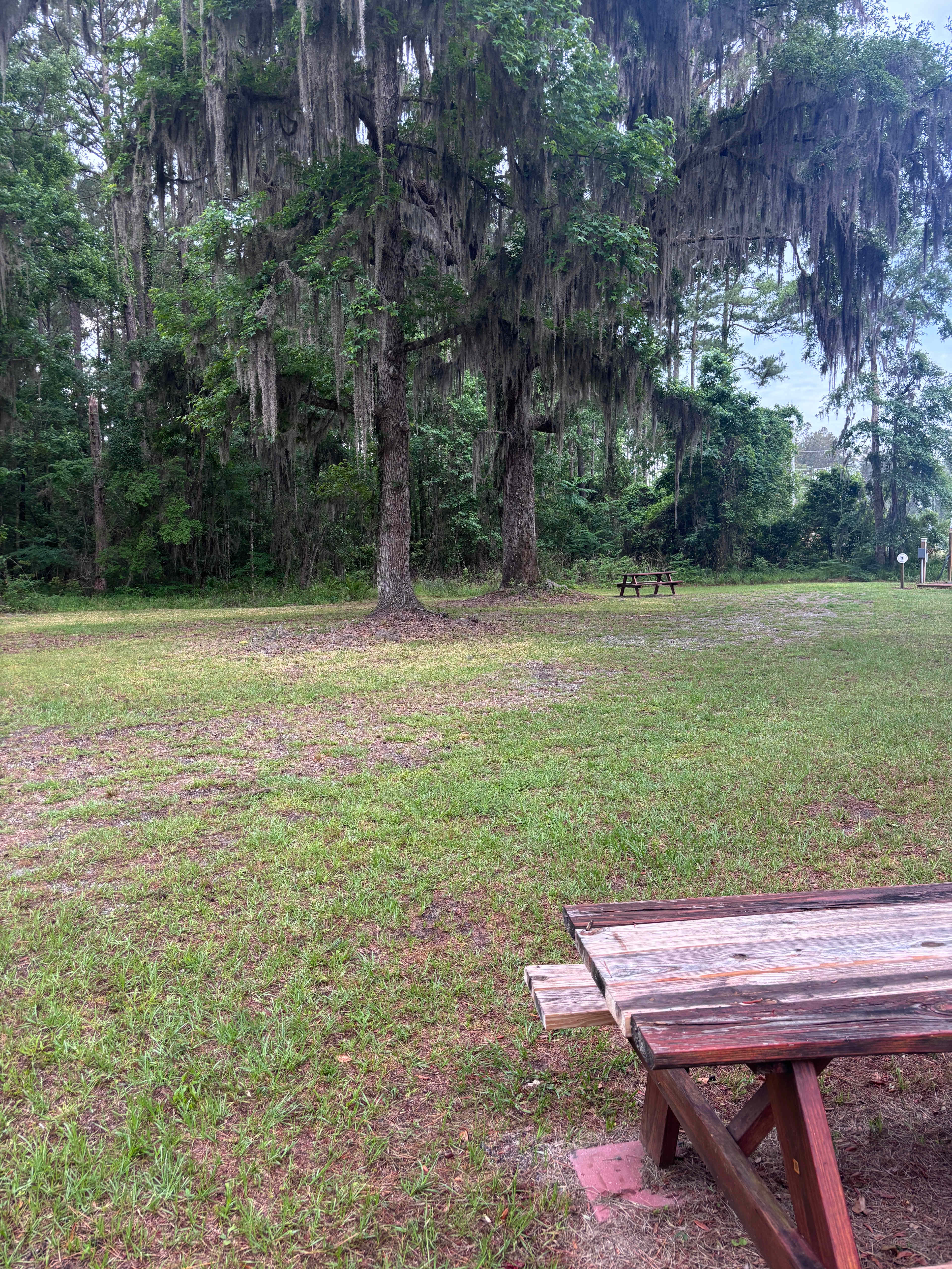 Lucille Oaks