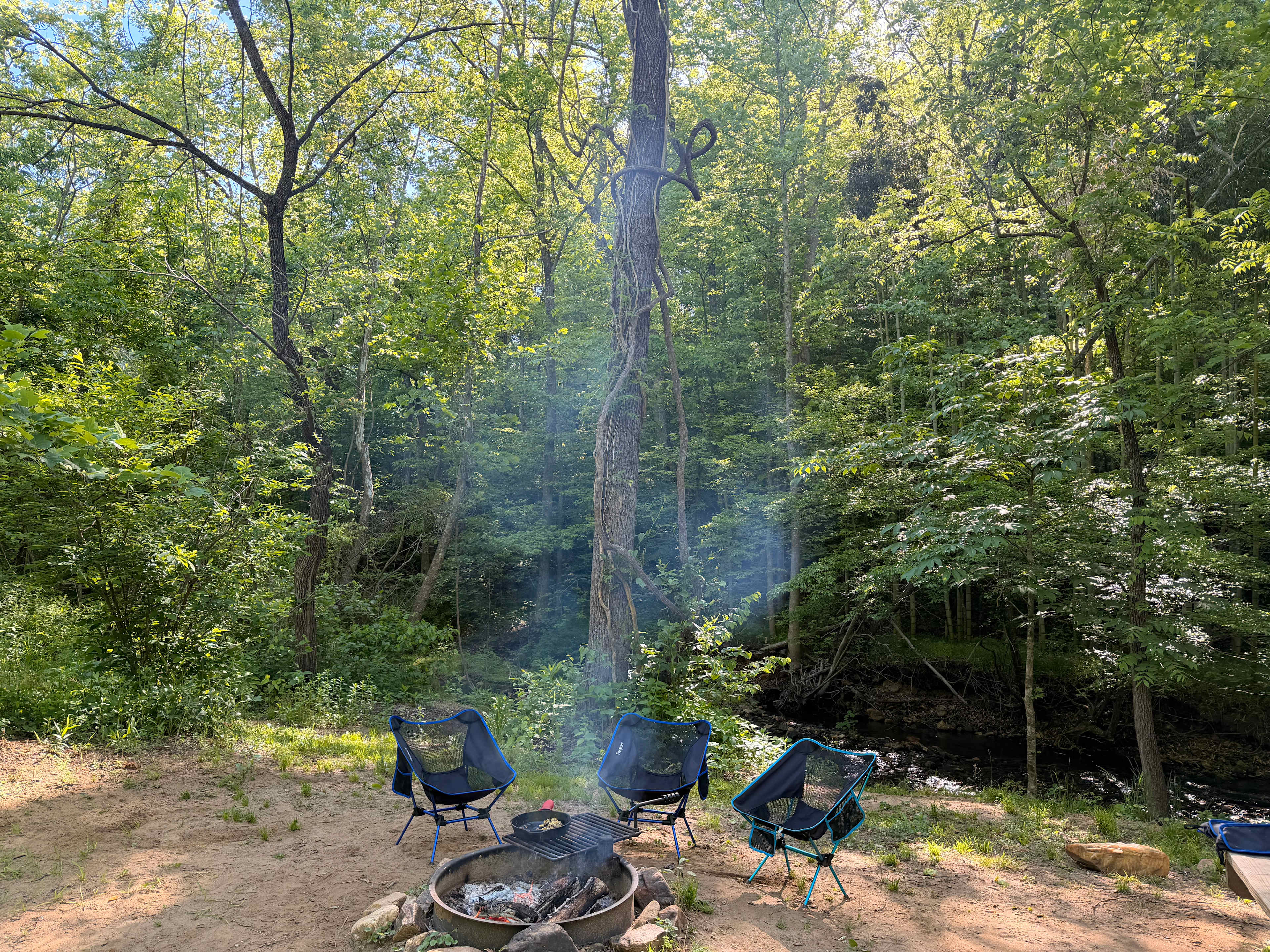 TangleWood Creekside Campsites