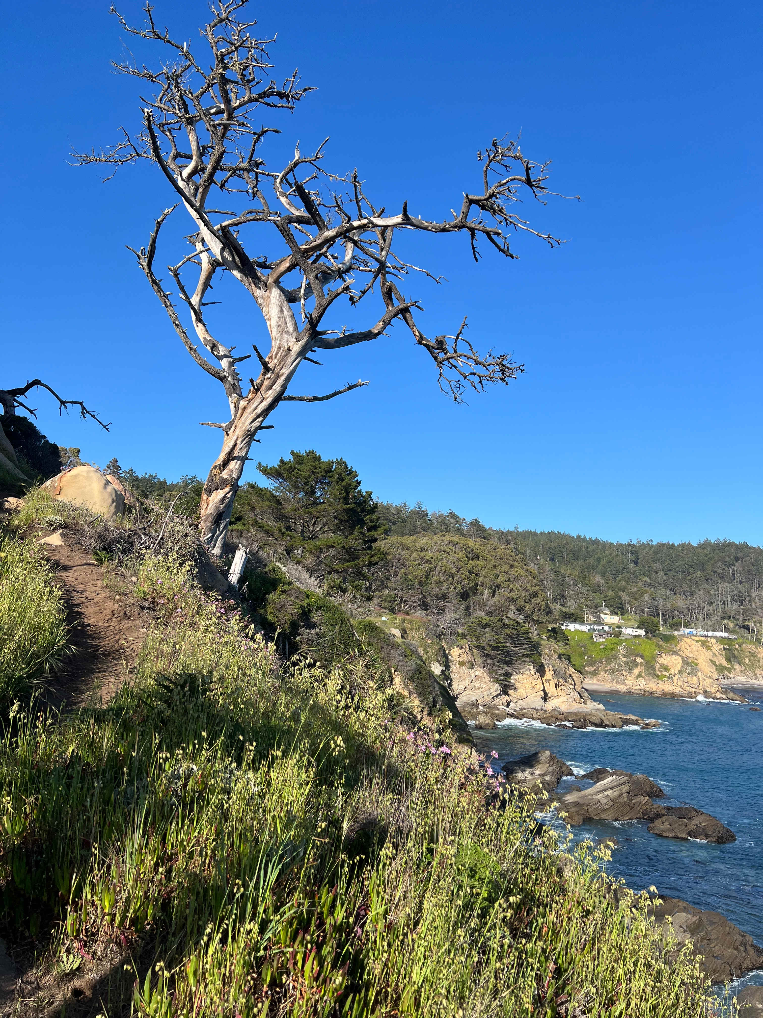 Timber Cove Campground