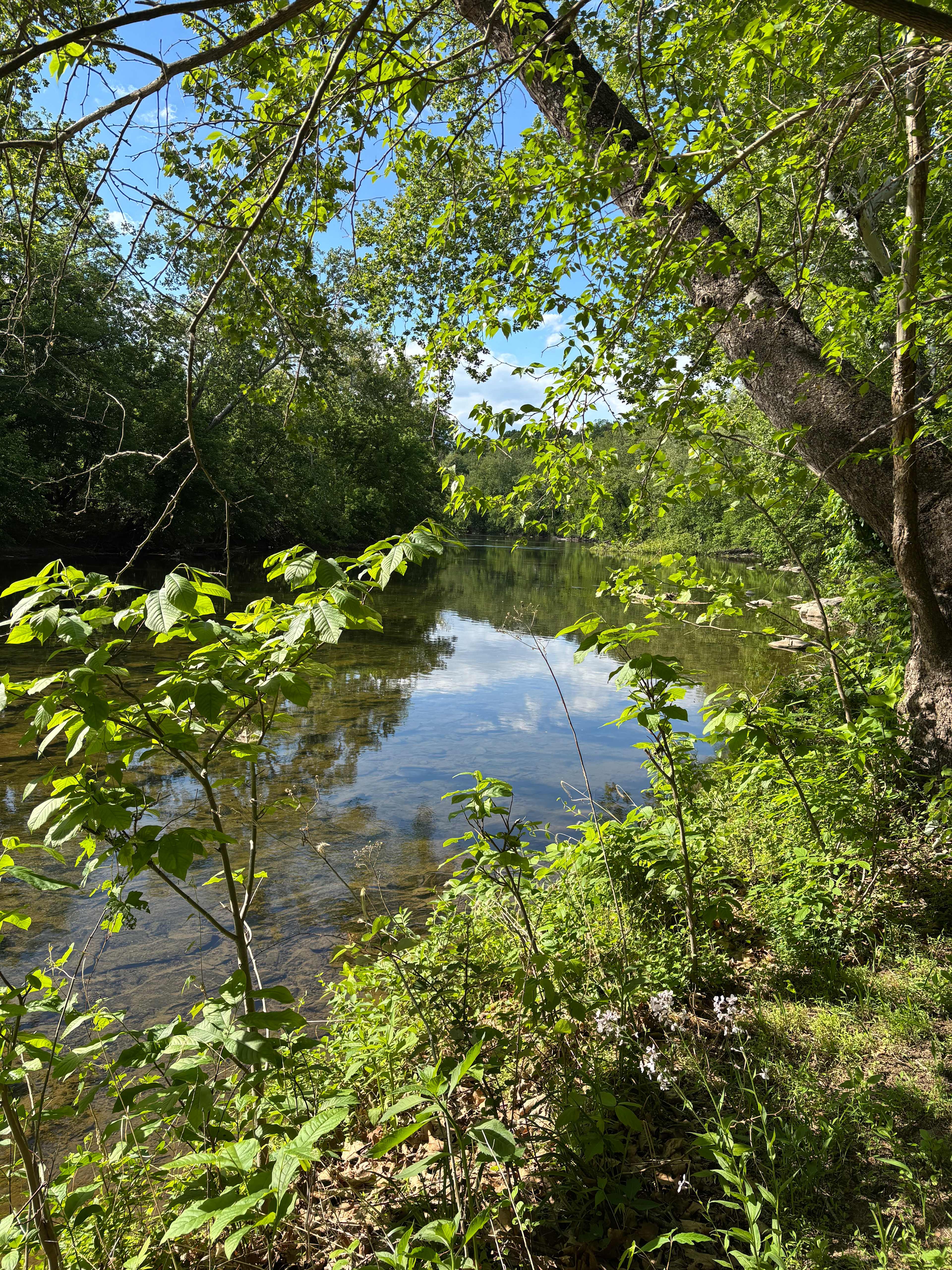 North Fork River Retreat