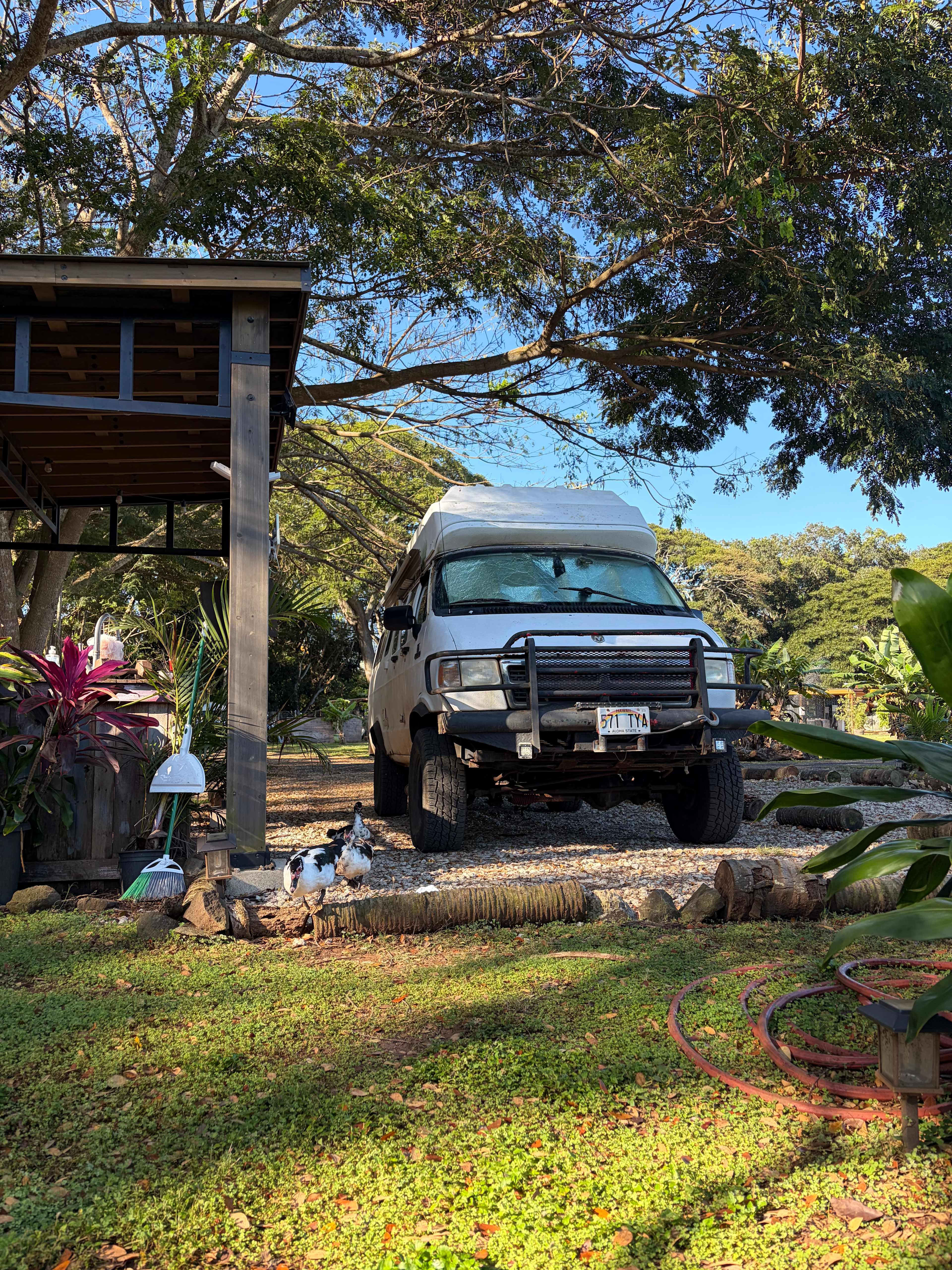Aloha Family Farms