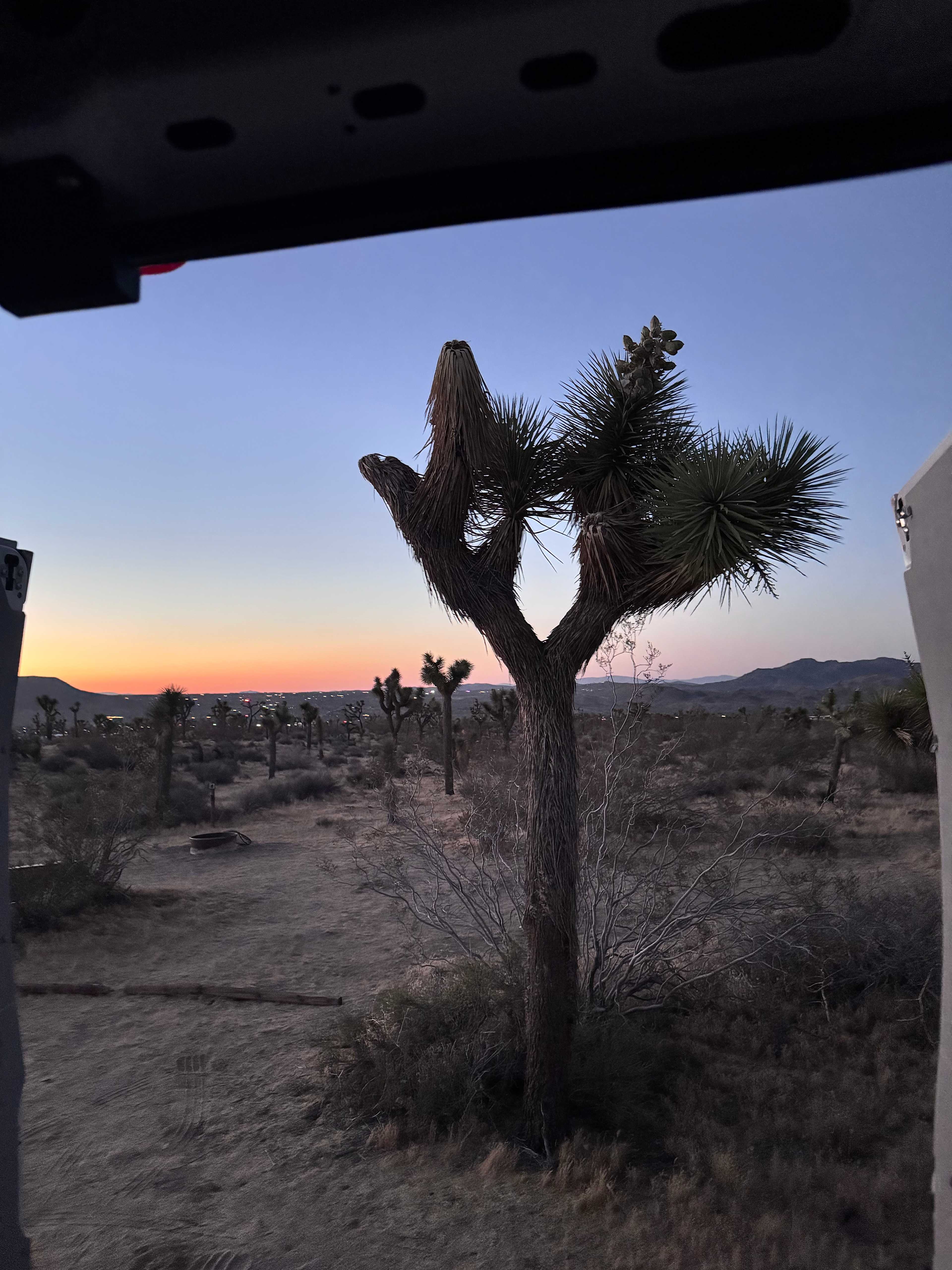 The Desert Ambassador Camp