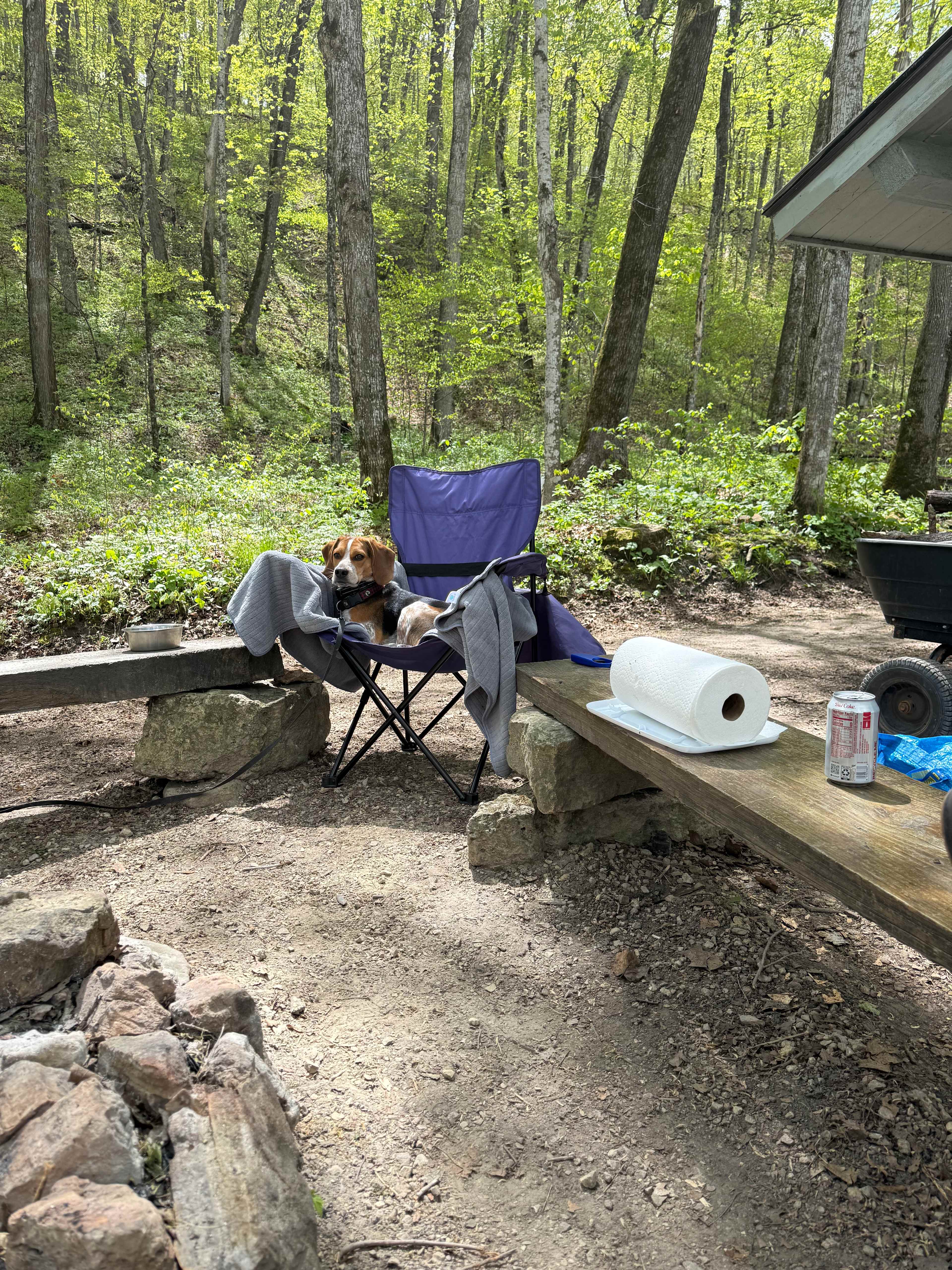 Belle Creek Bluff