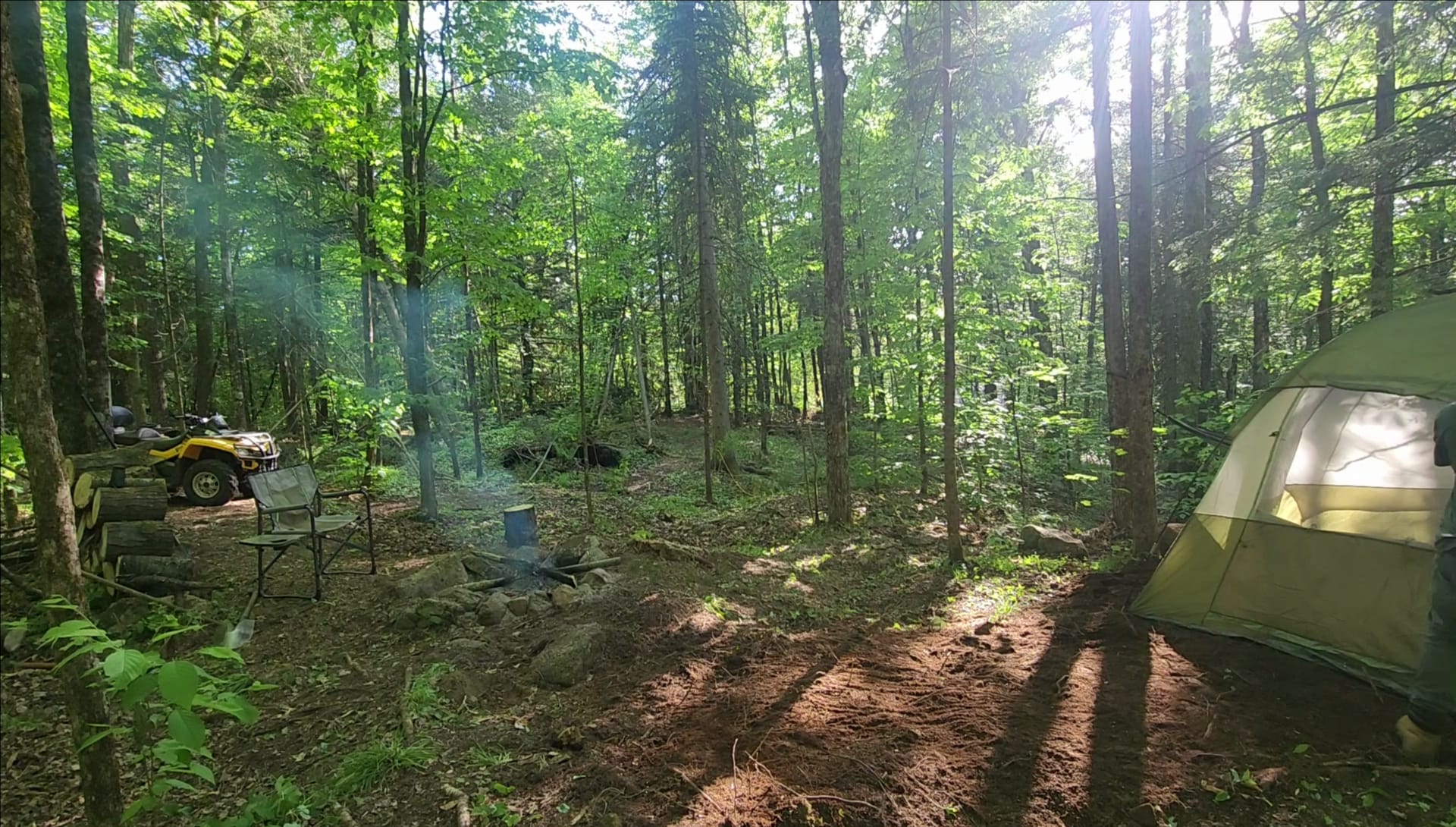 Picture of the site
