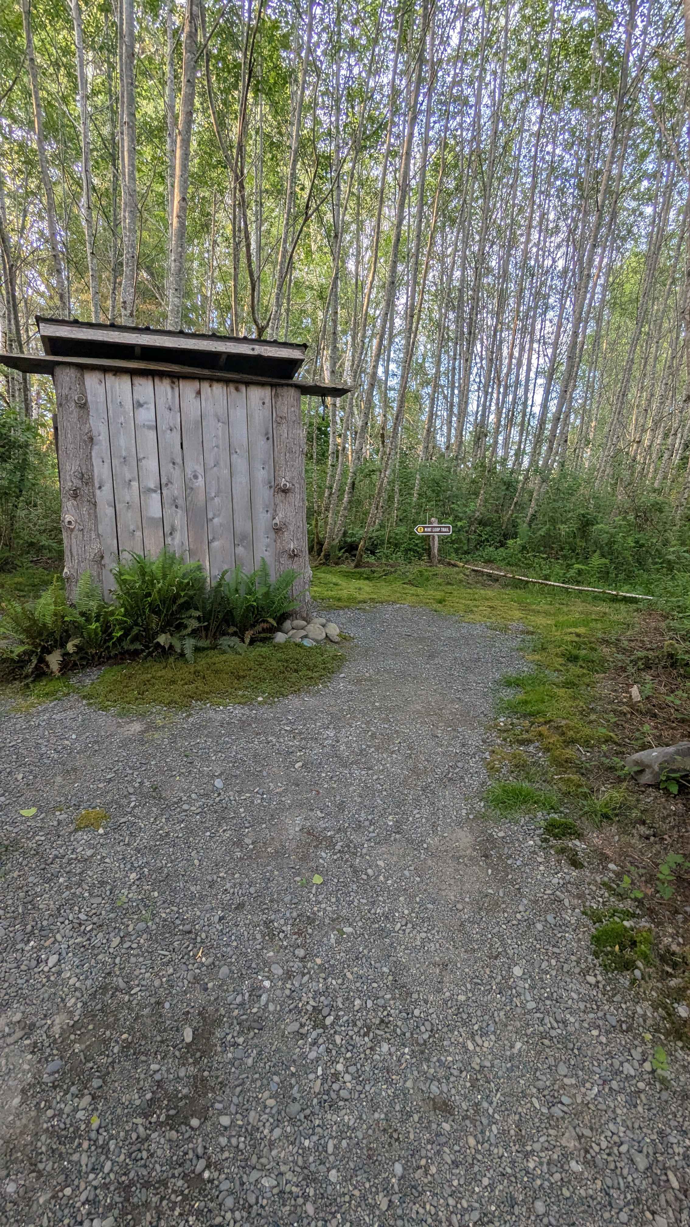 Hoh River Campsites