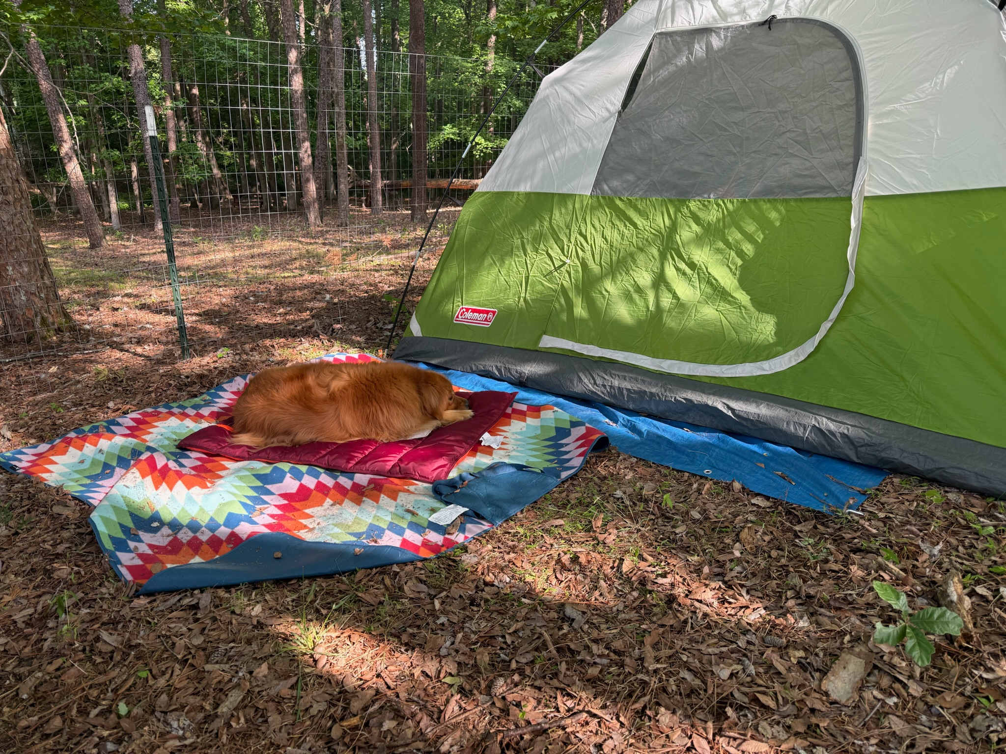 Site 3