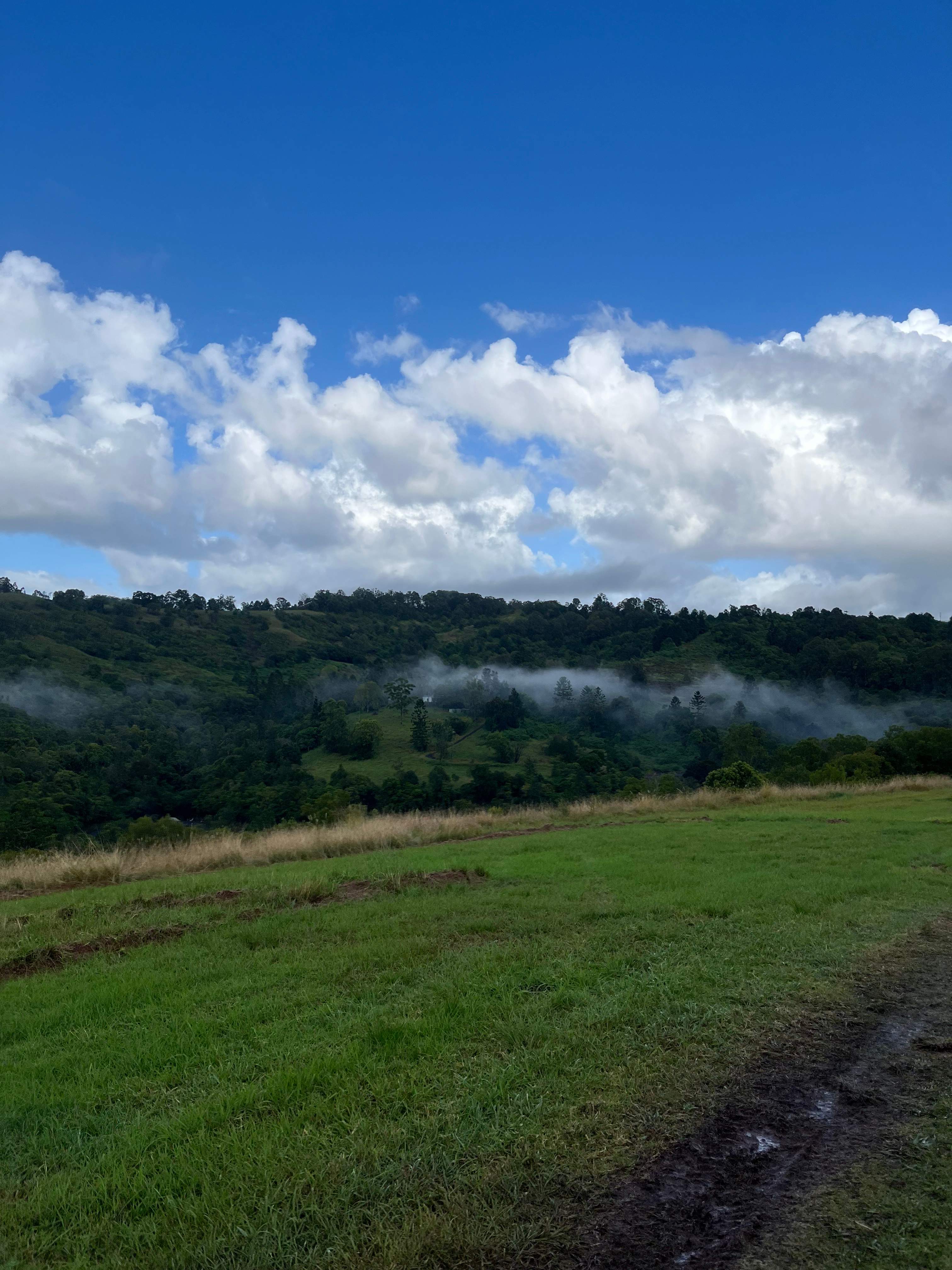 Oakey Ridge
