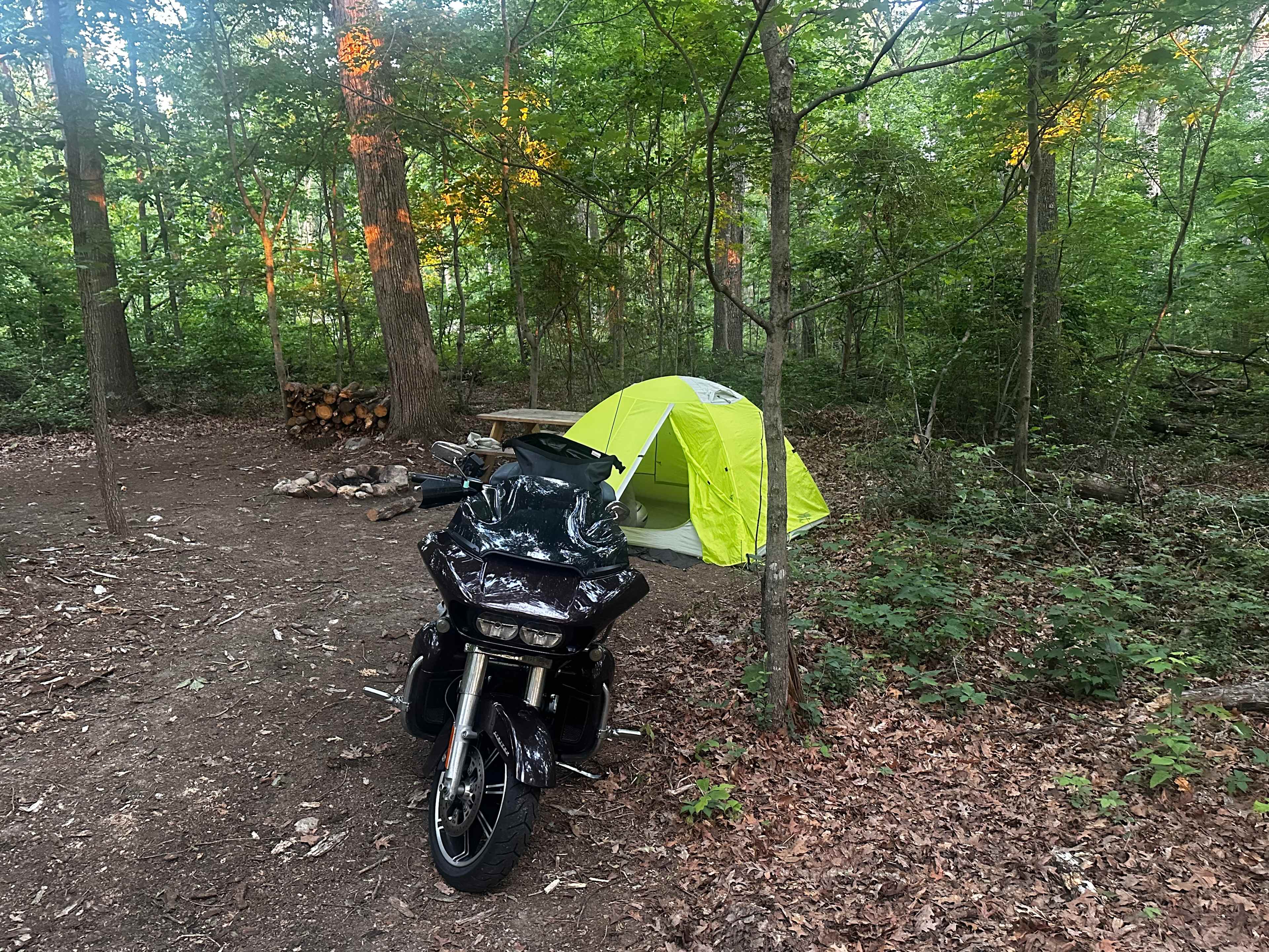 Road Runner Base Camp