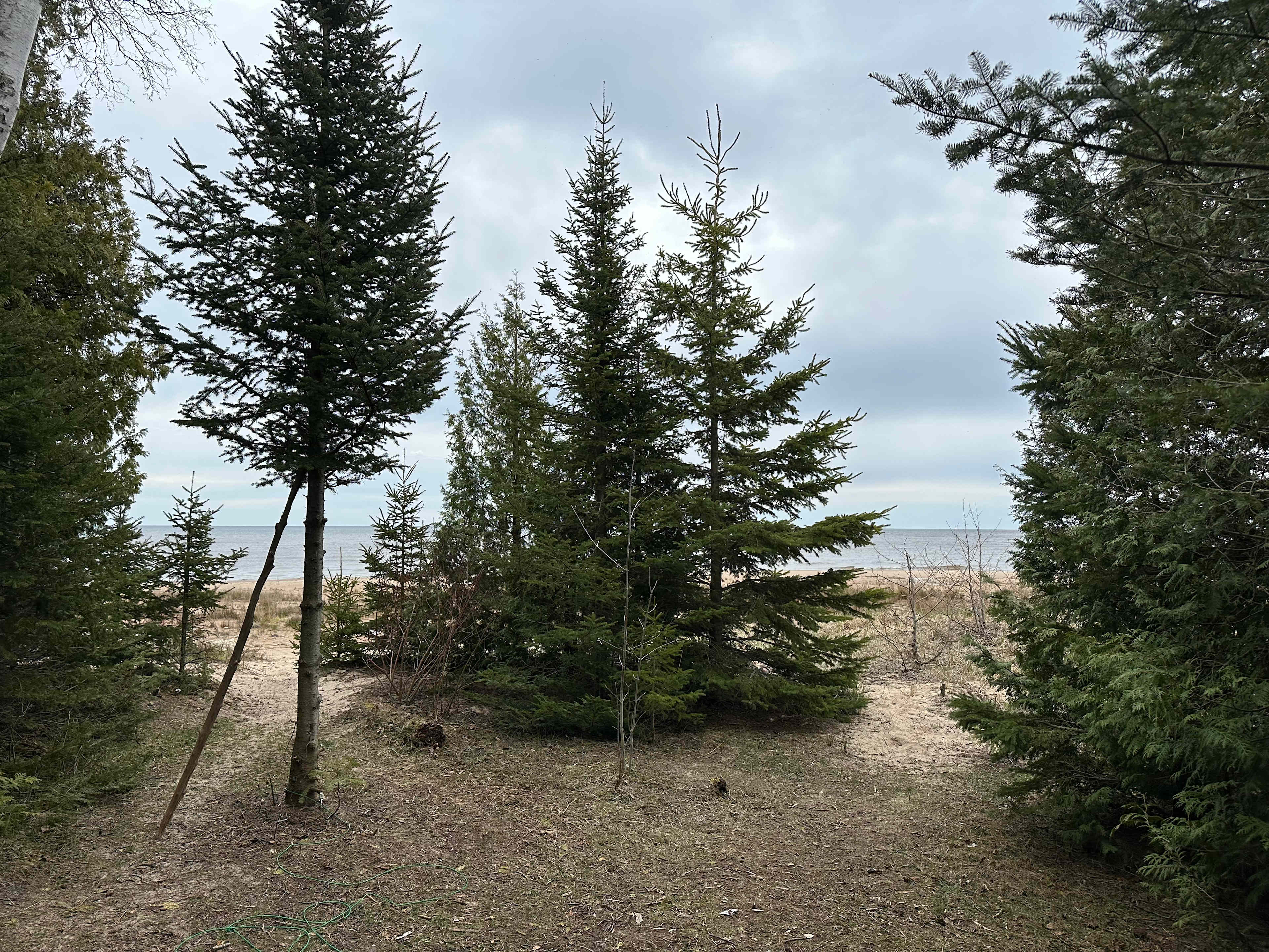 Lake Michigan Surf Camp + Sauna