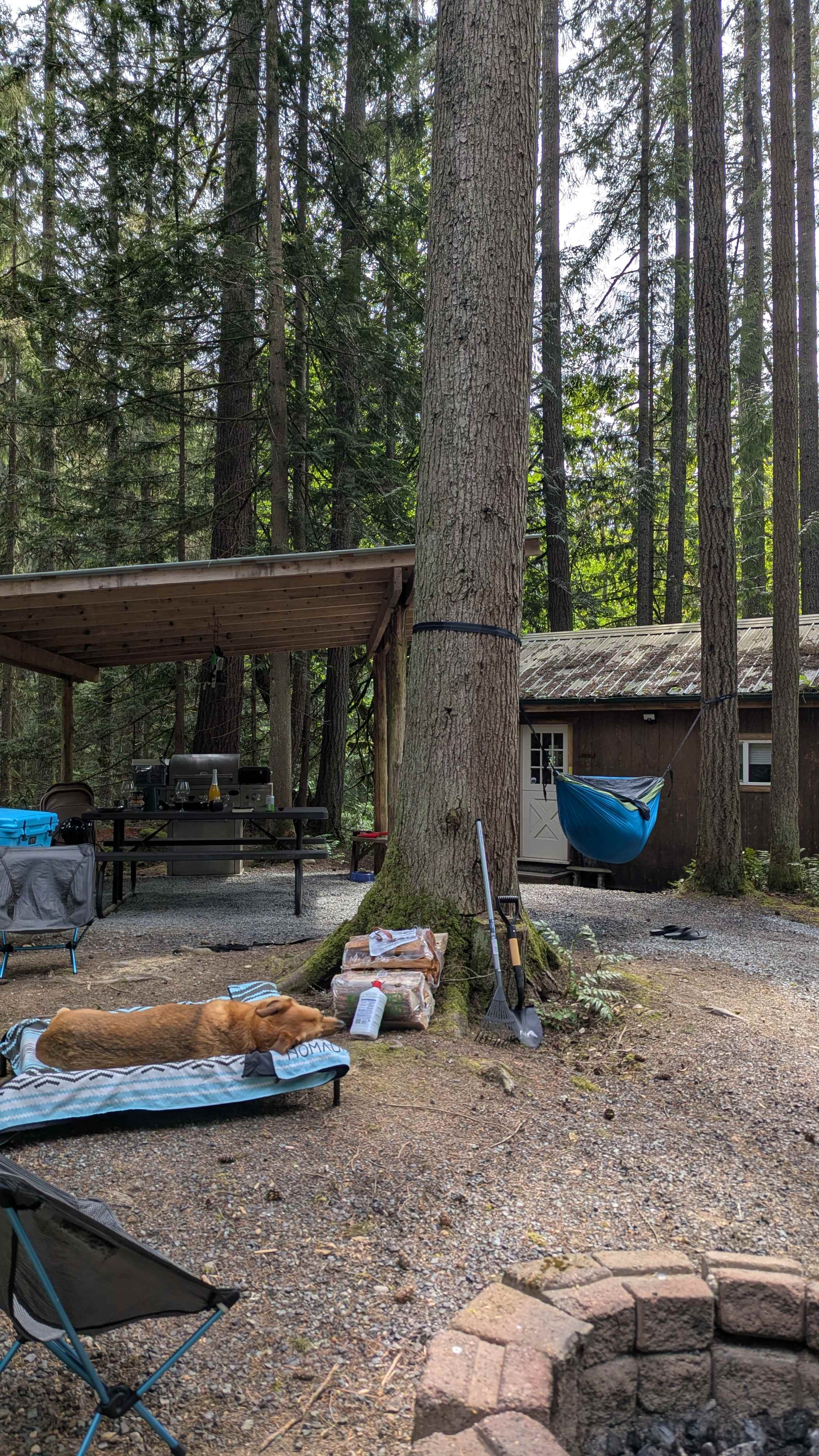 Grace E.’s Mini Forest Cabins