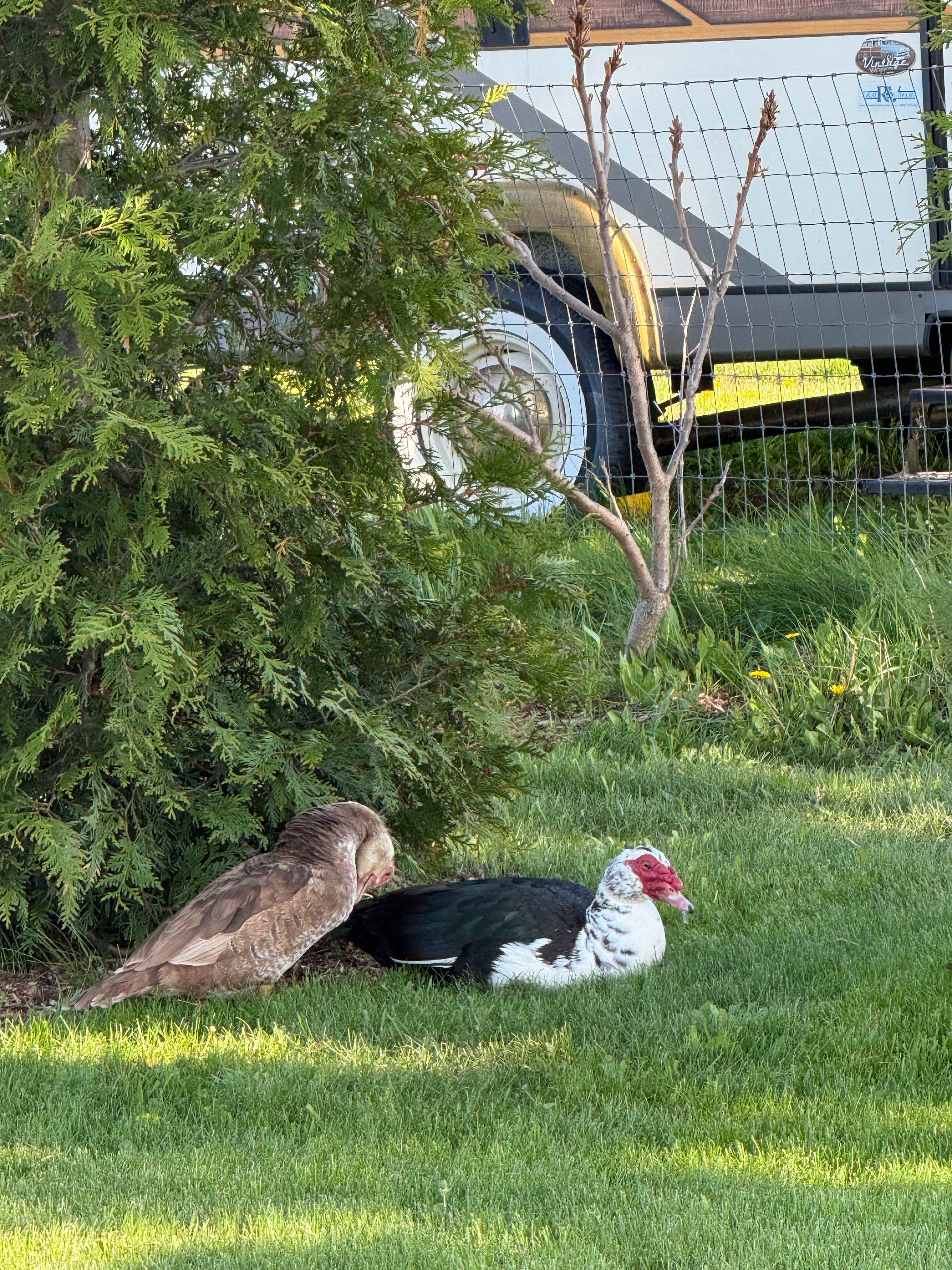New neighbors since my last visit