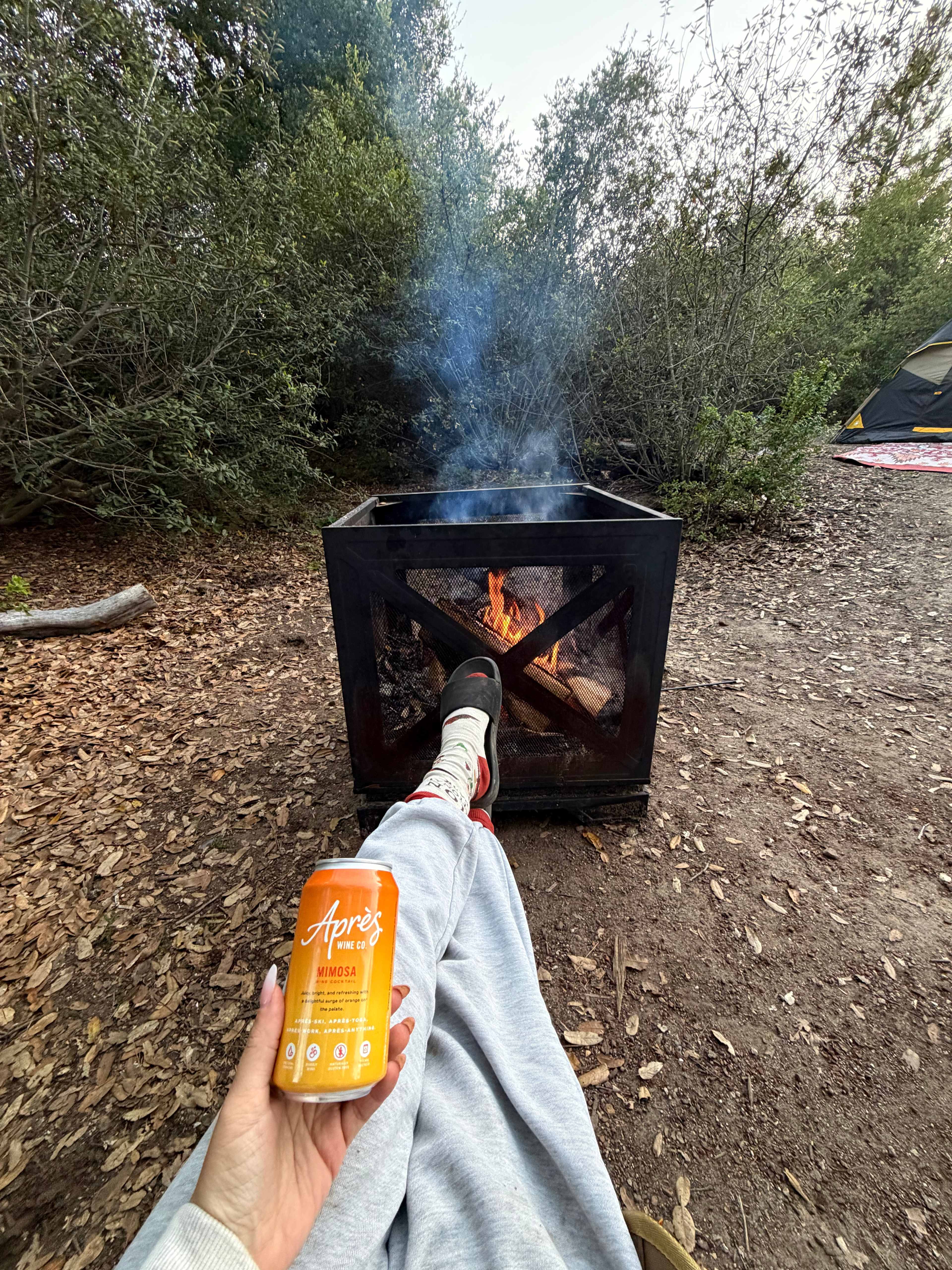 Camp Rewilding