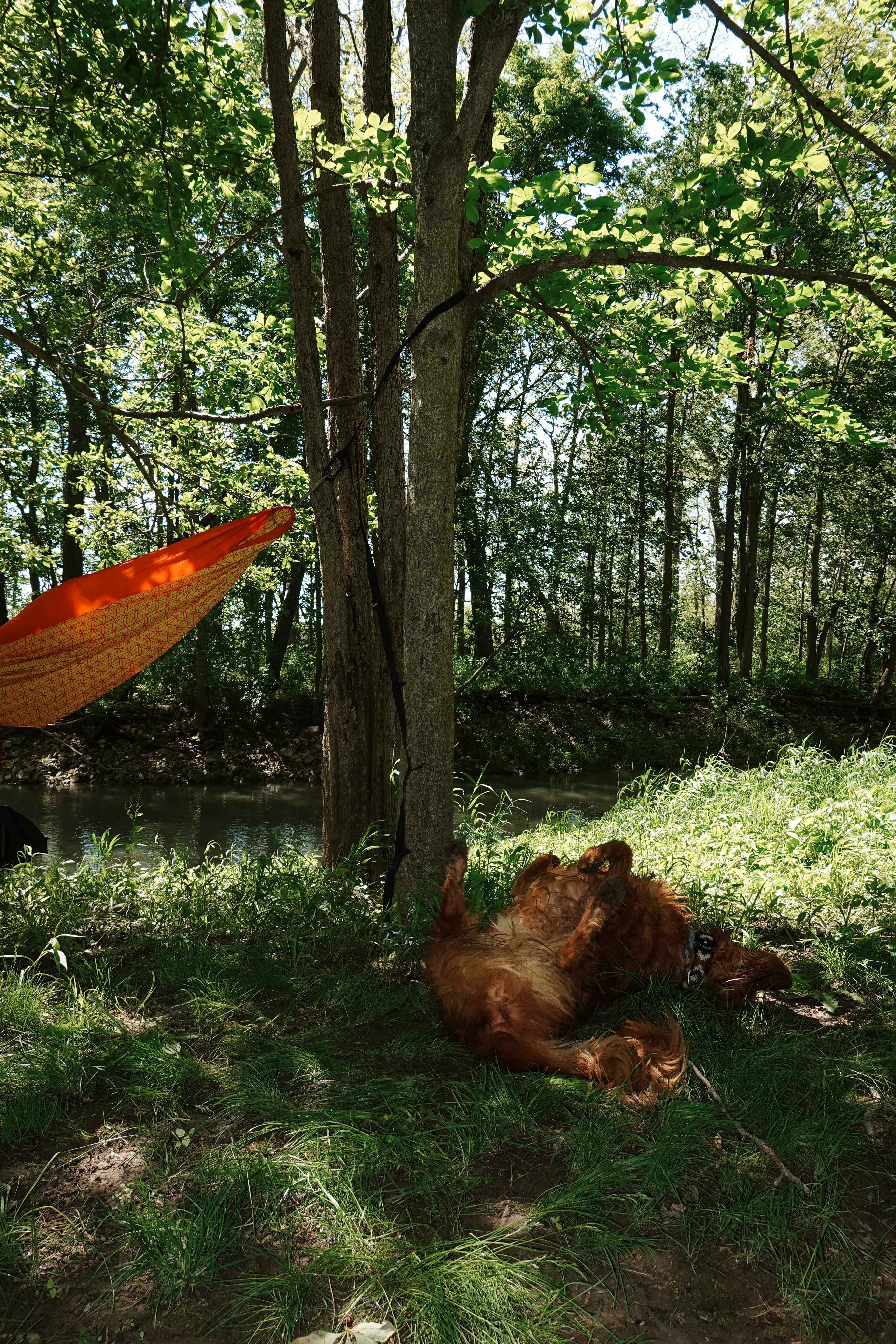 Rusty's Retreat with pond and river