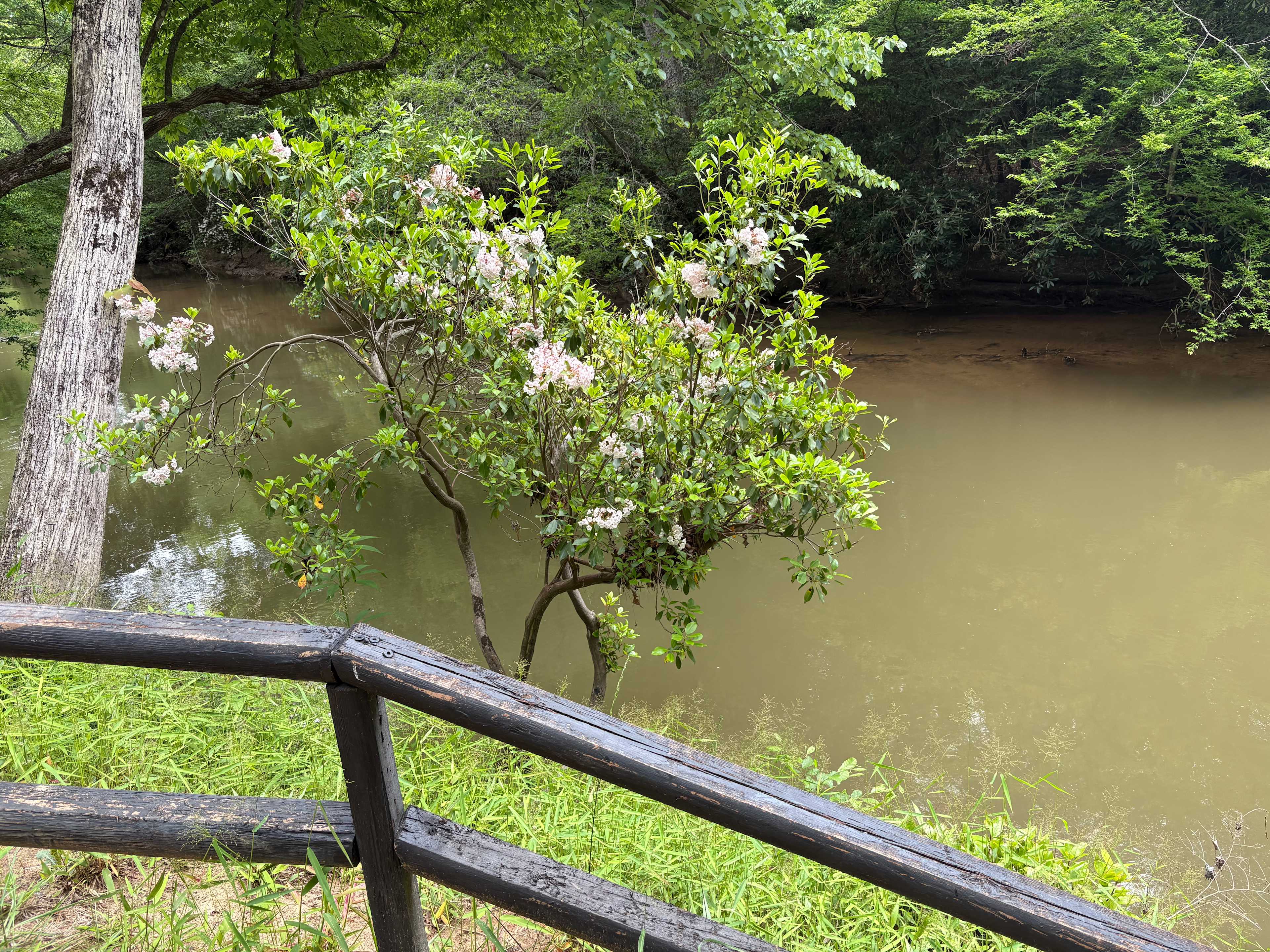 Castleberry Bridge
