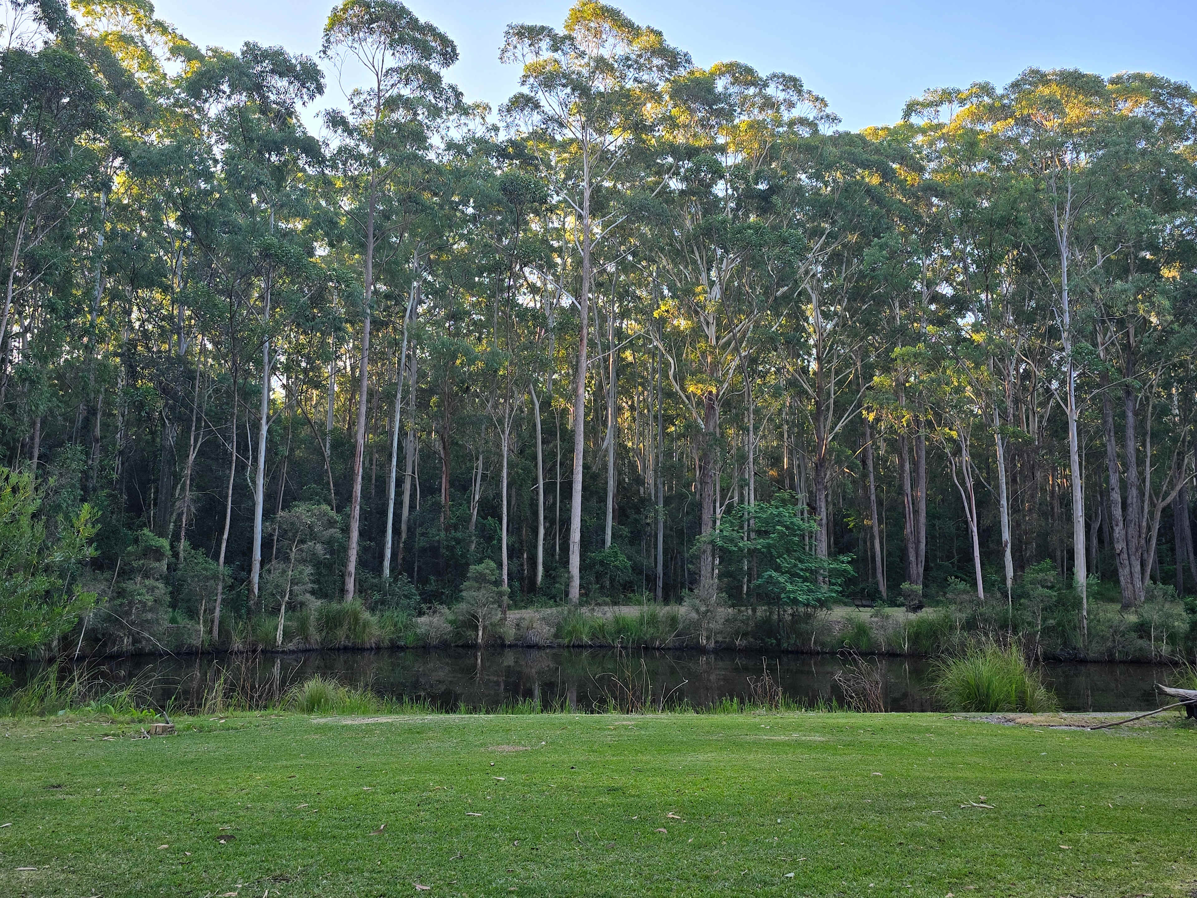 Mistinthegumtrees BUDGET 2 GLAMPING