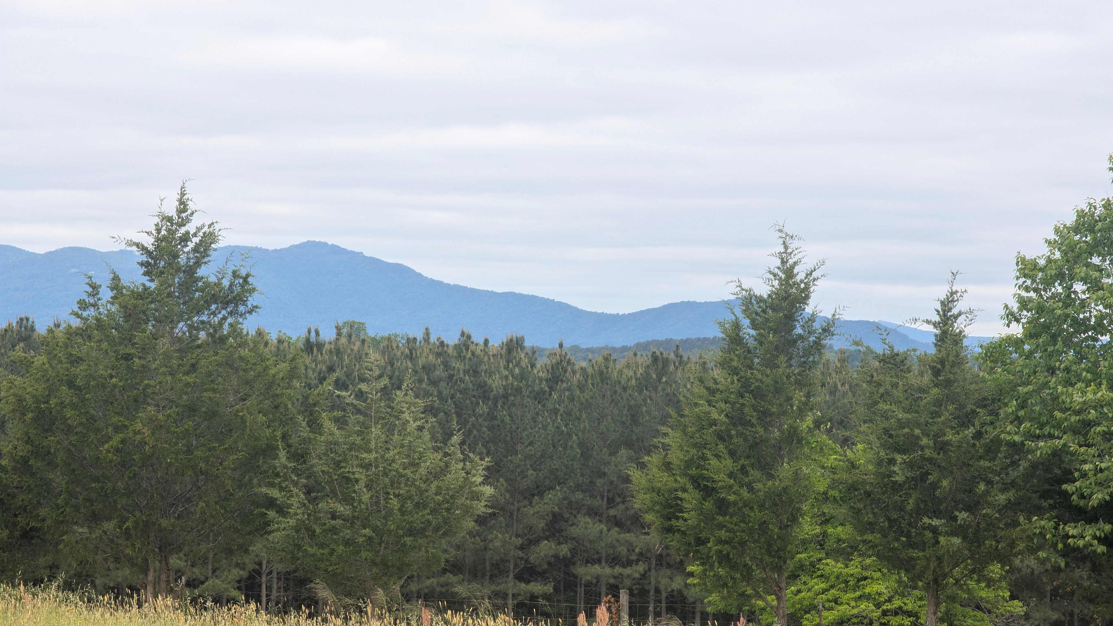 Hinsdale Farm-Mountain View Oasis