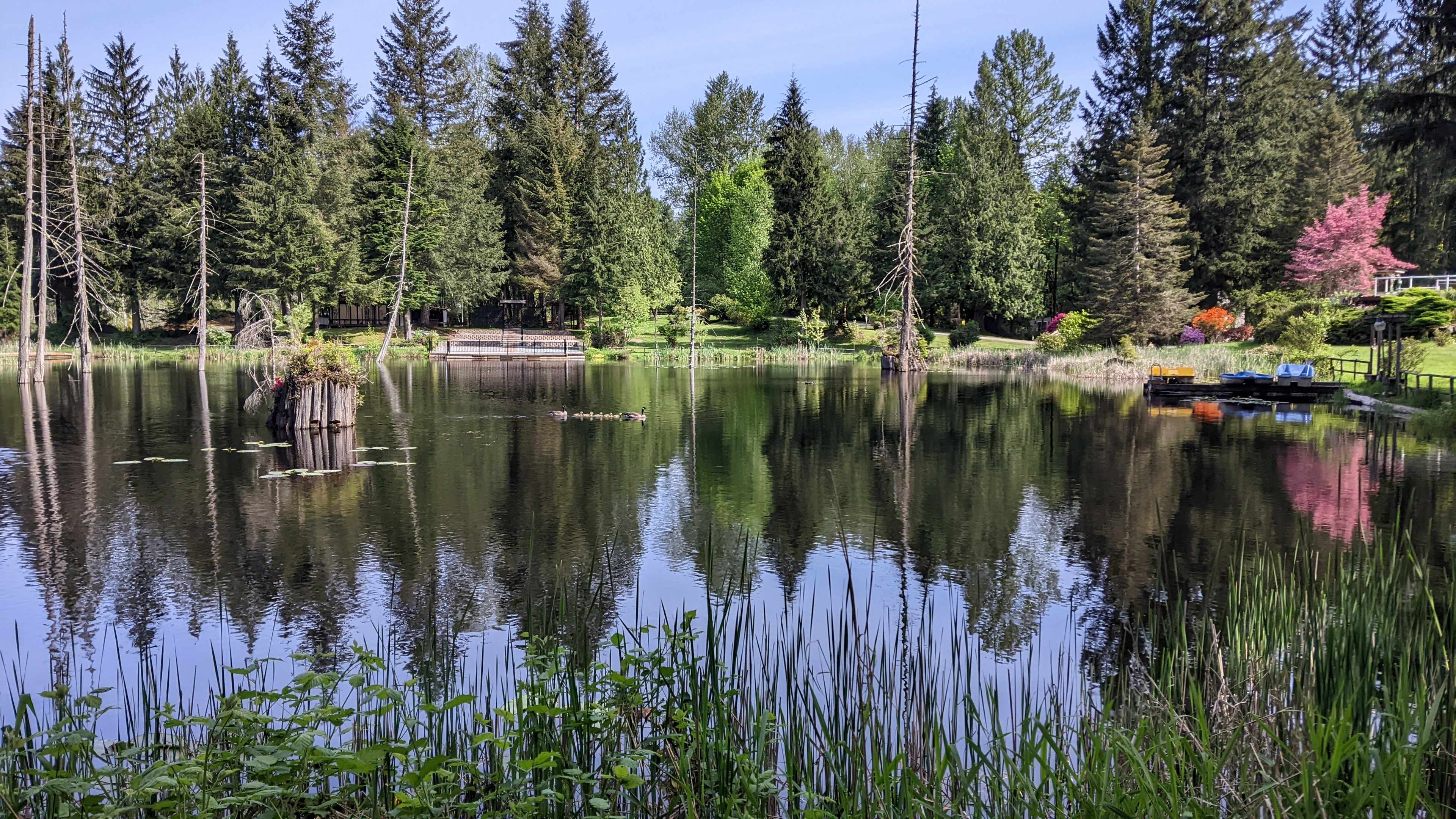The Landing At Lake Ploenta