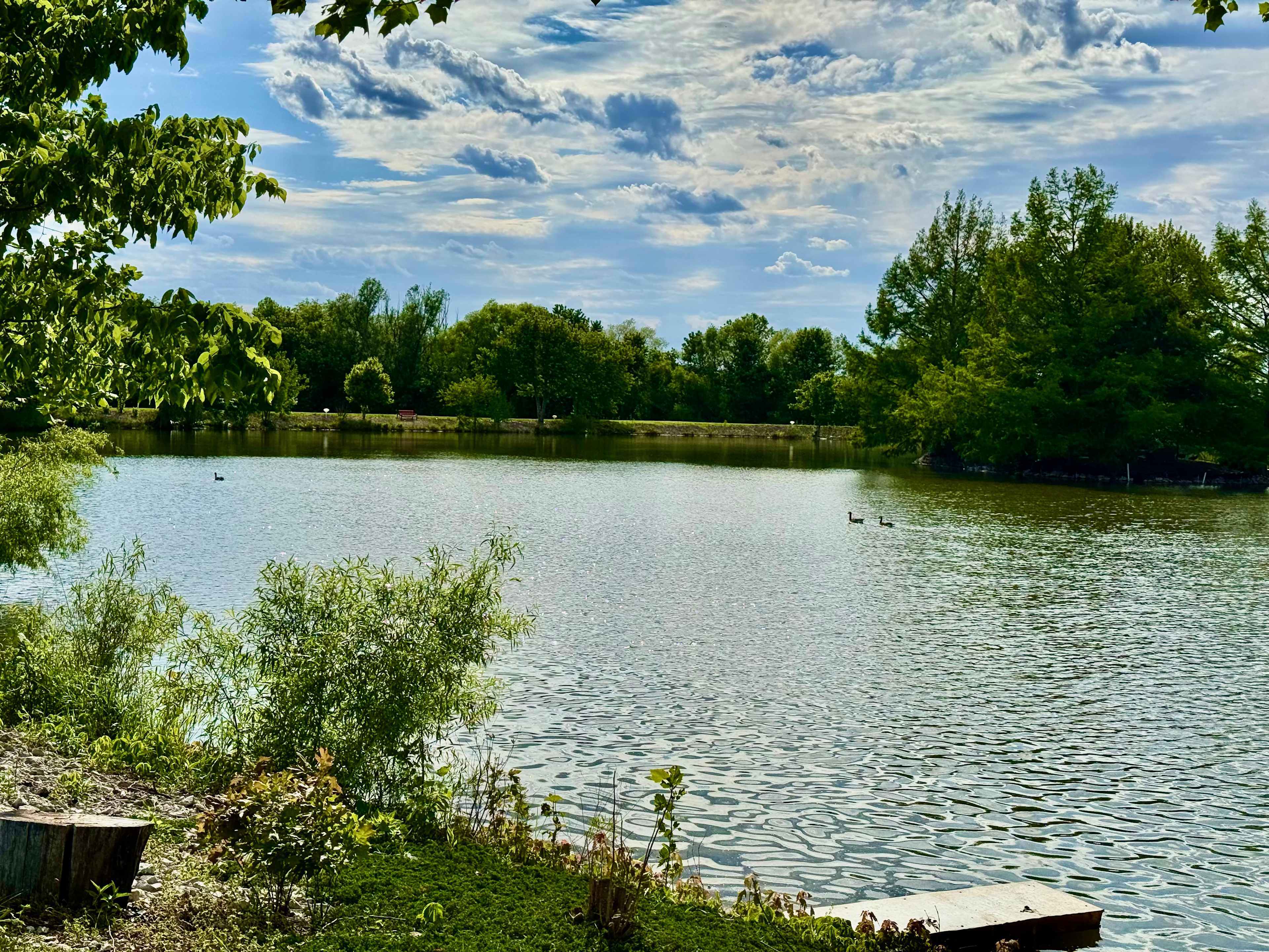Harmony Lake Farm Park & Playground
