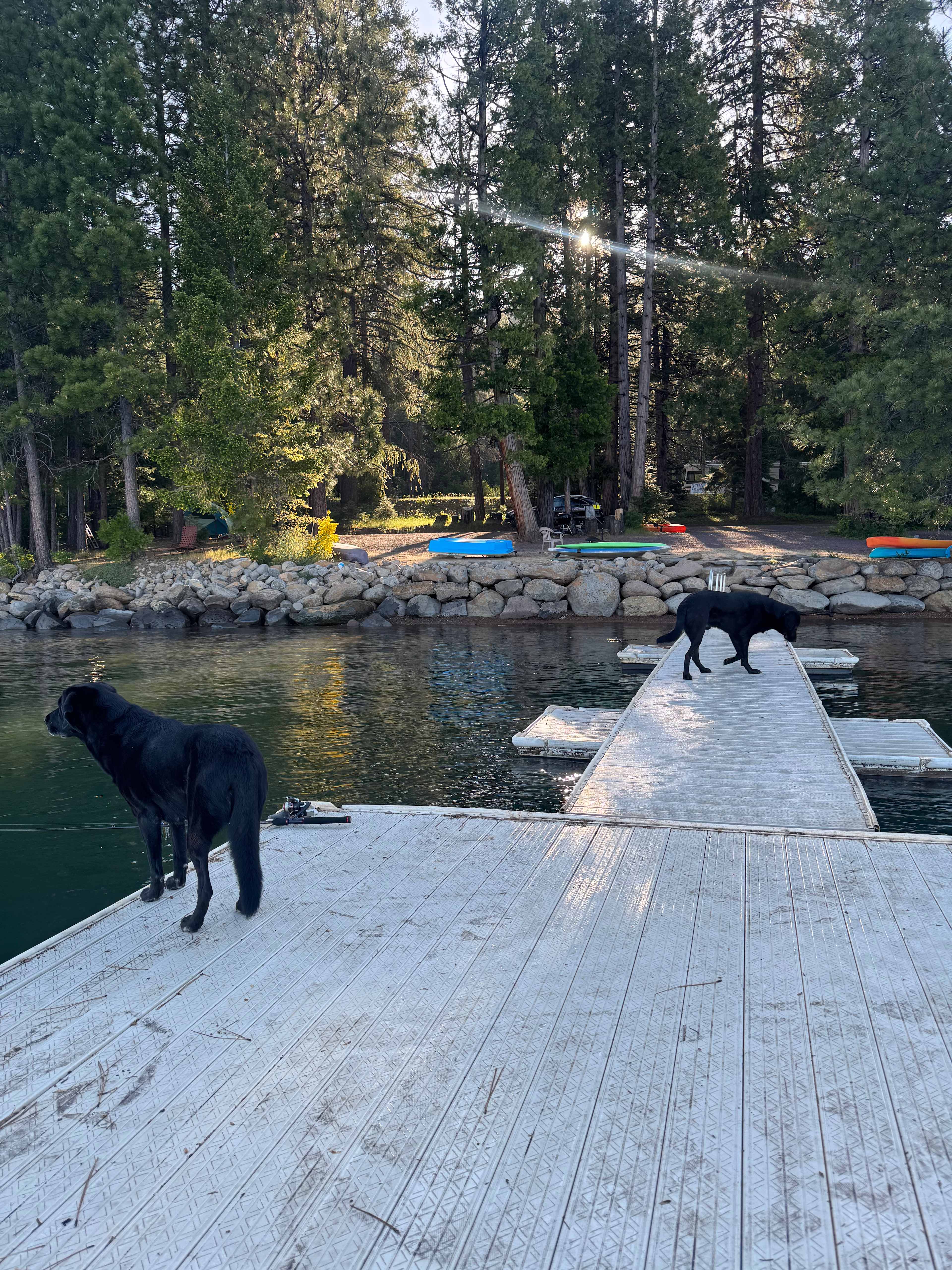 TURNER BEACH AT LAKE ALMANOR