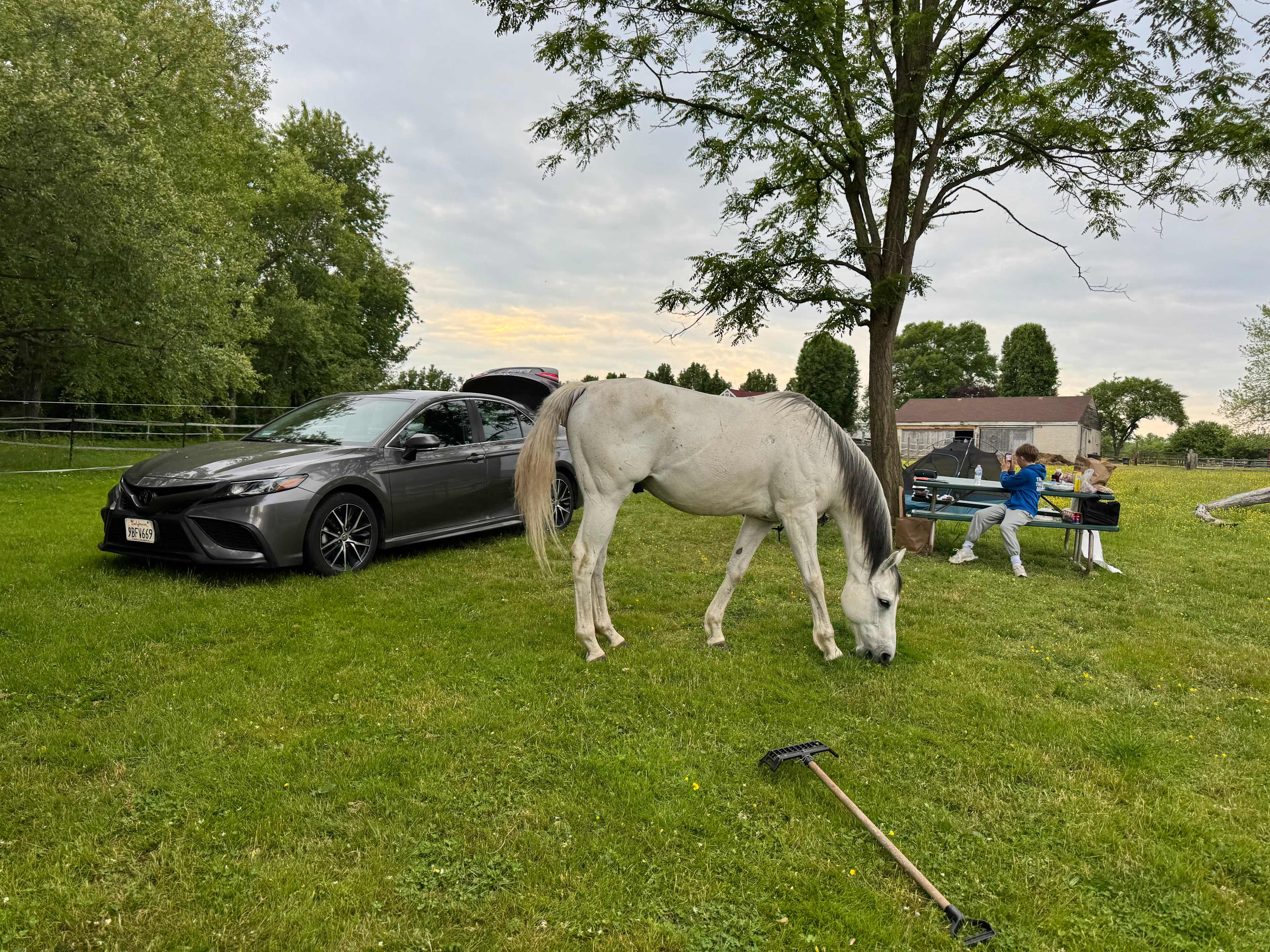 Countryside Horse Farm