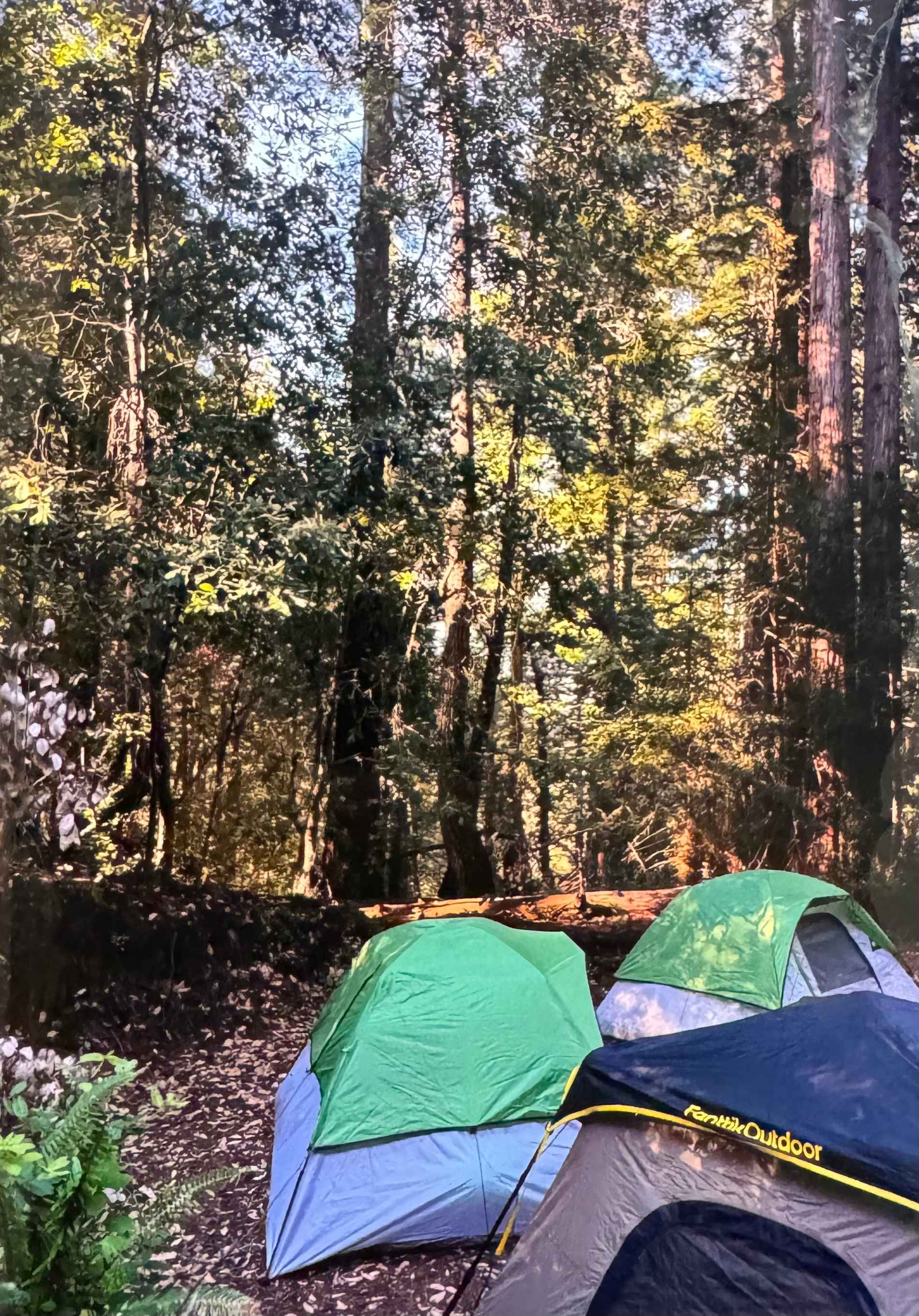 Beautiful tent site