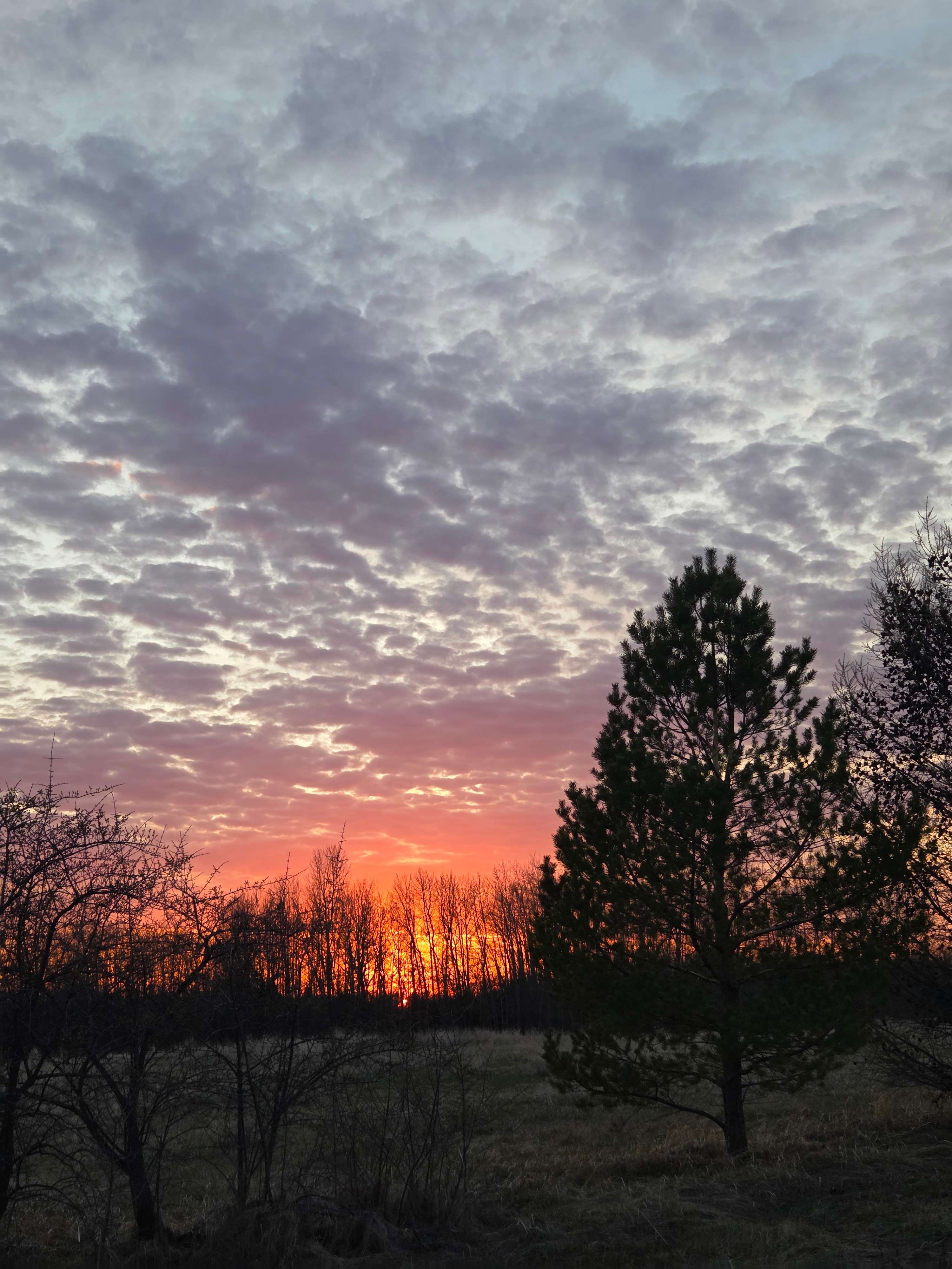 Elk Island Getaway