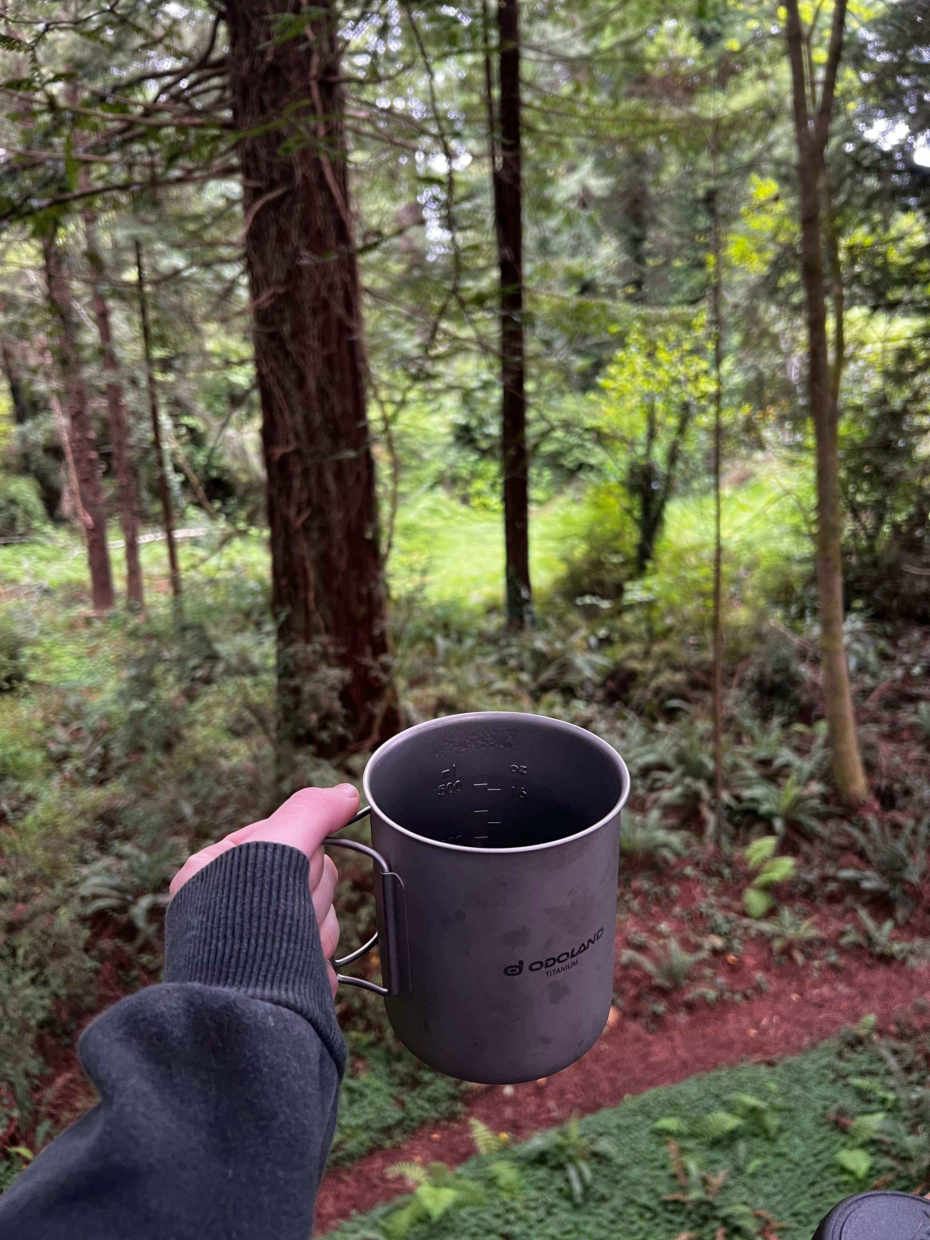 Redwood Retreat