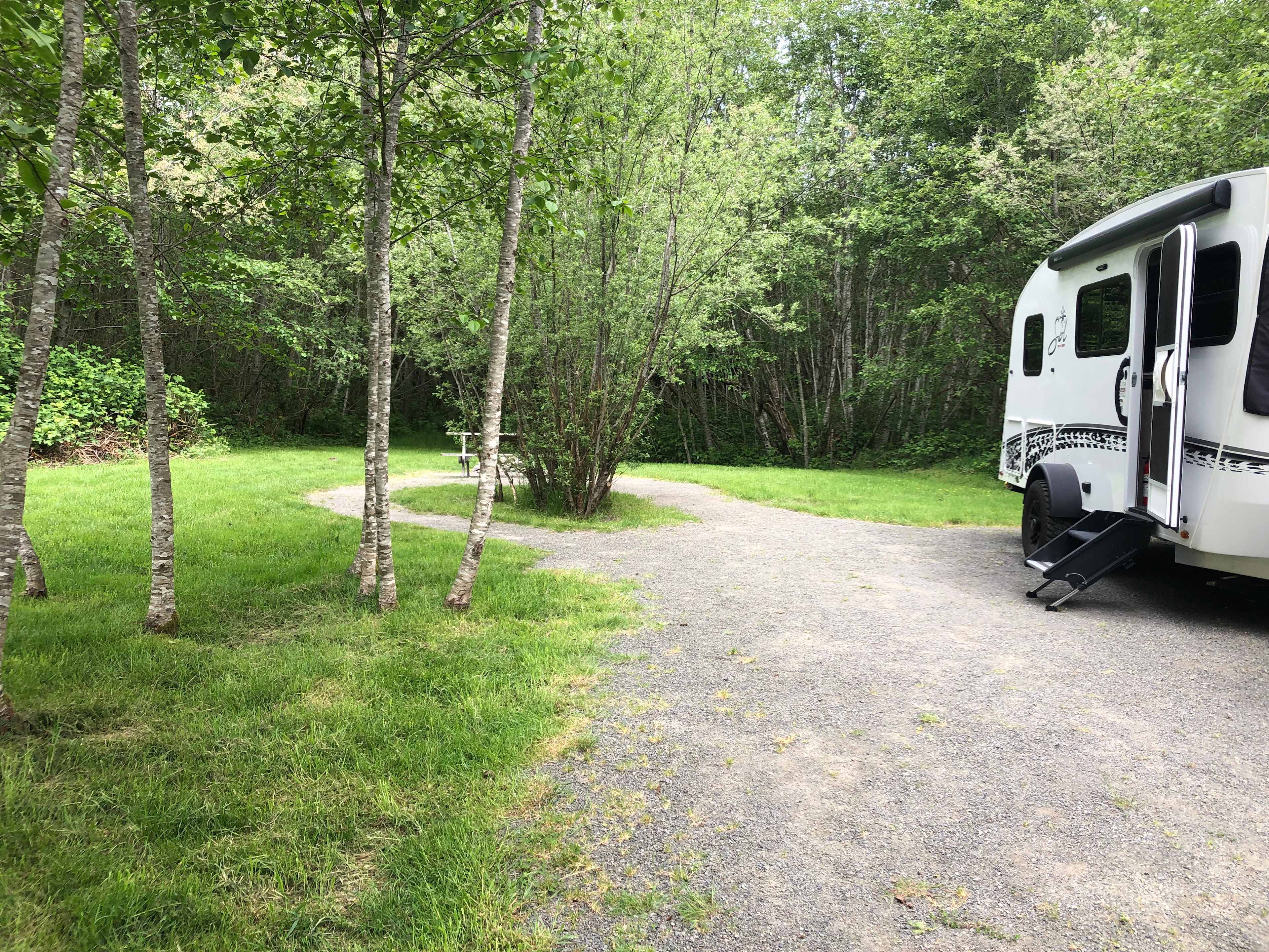 Hoh River Campsites
