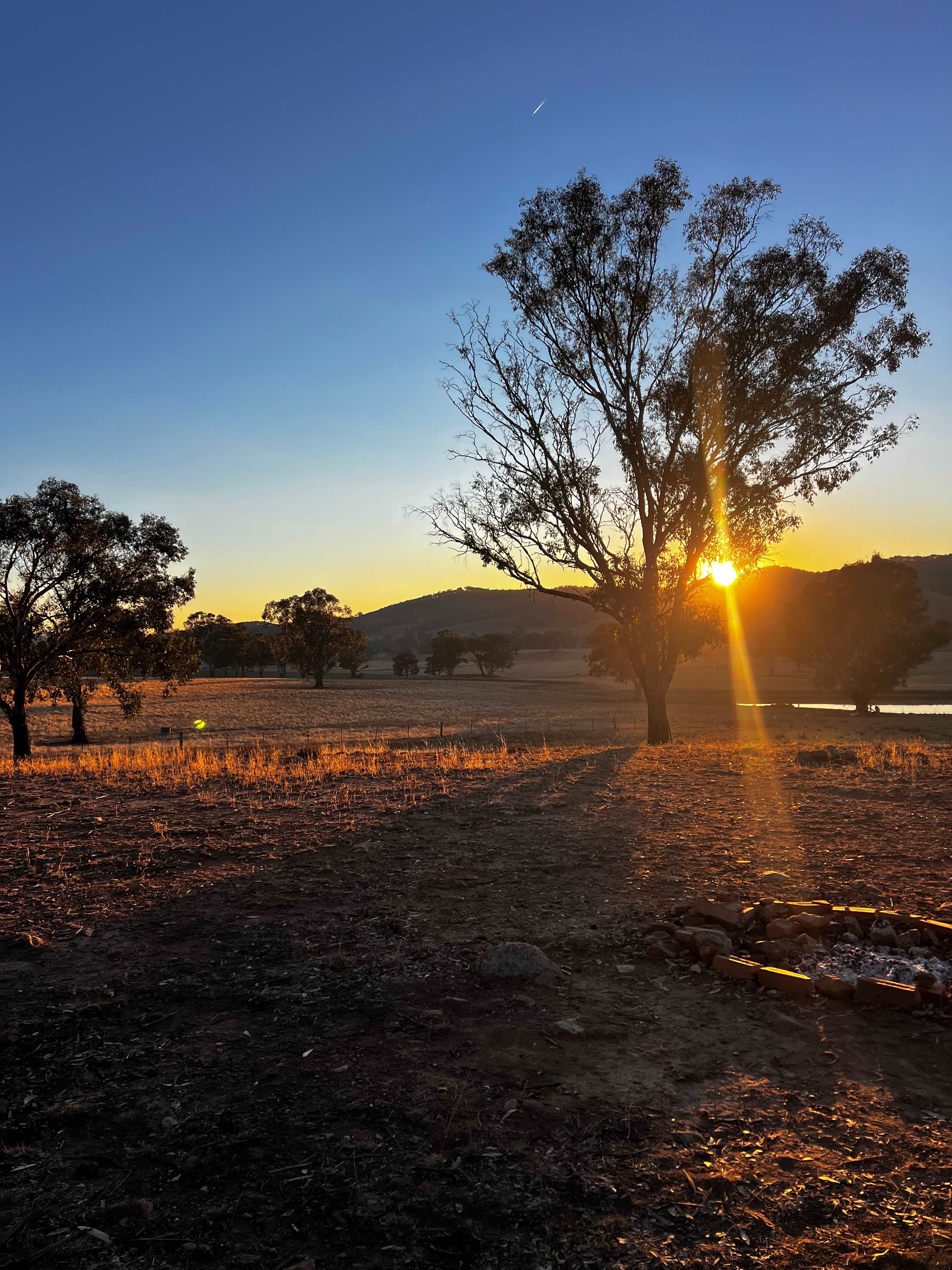 Sunrise 