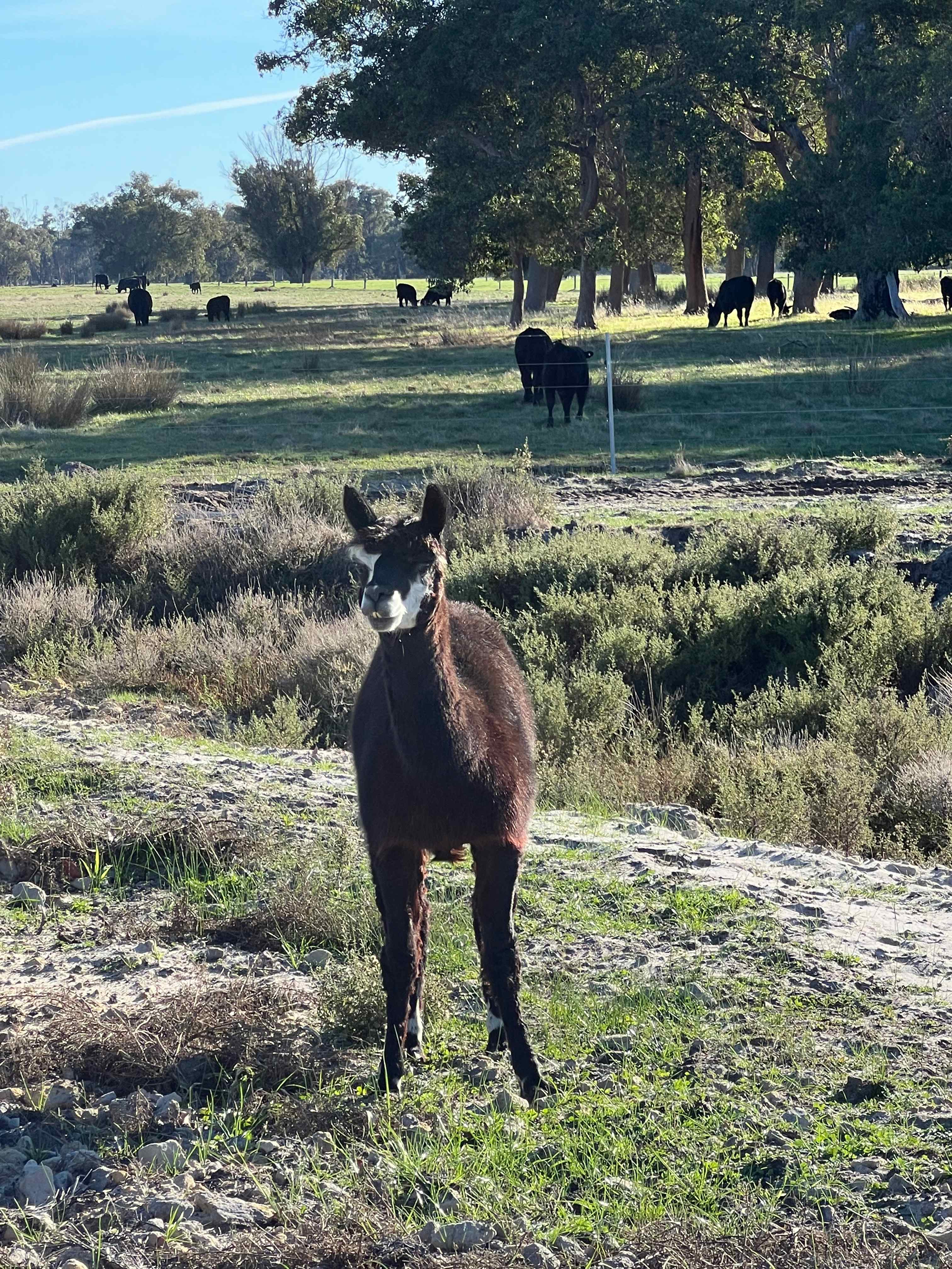 Herron Point Farm Stay